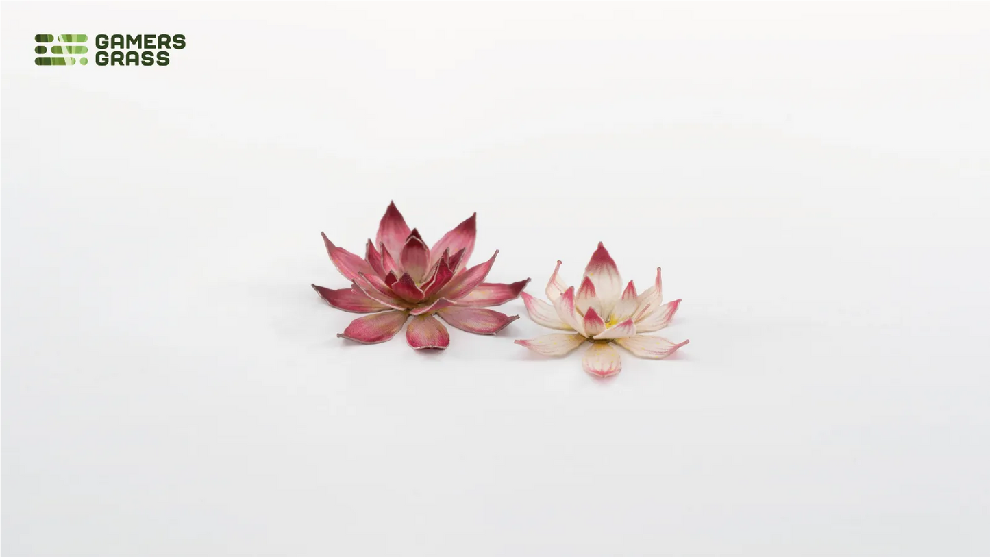Lotus Flower