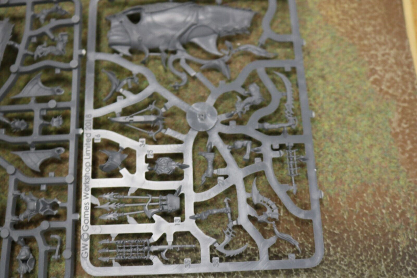 Akhelian Allopex 906 Idoneth Deepkin Age of Sigmar Warhammer 40k