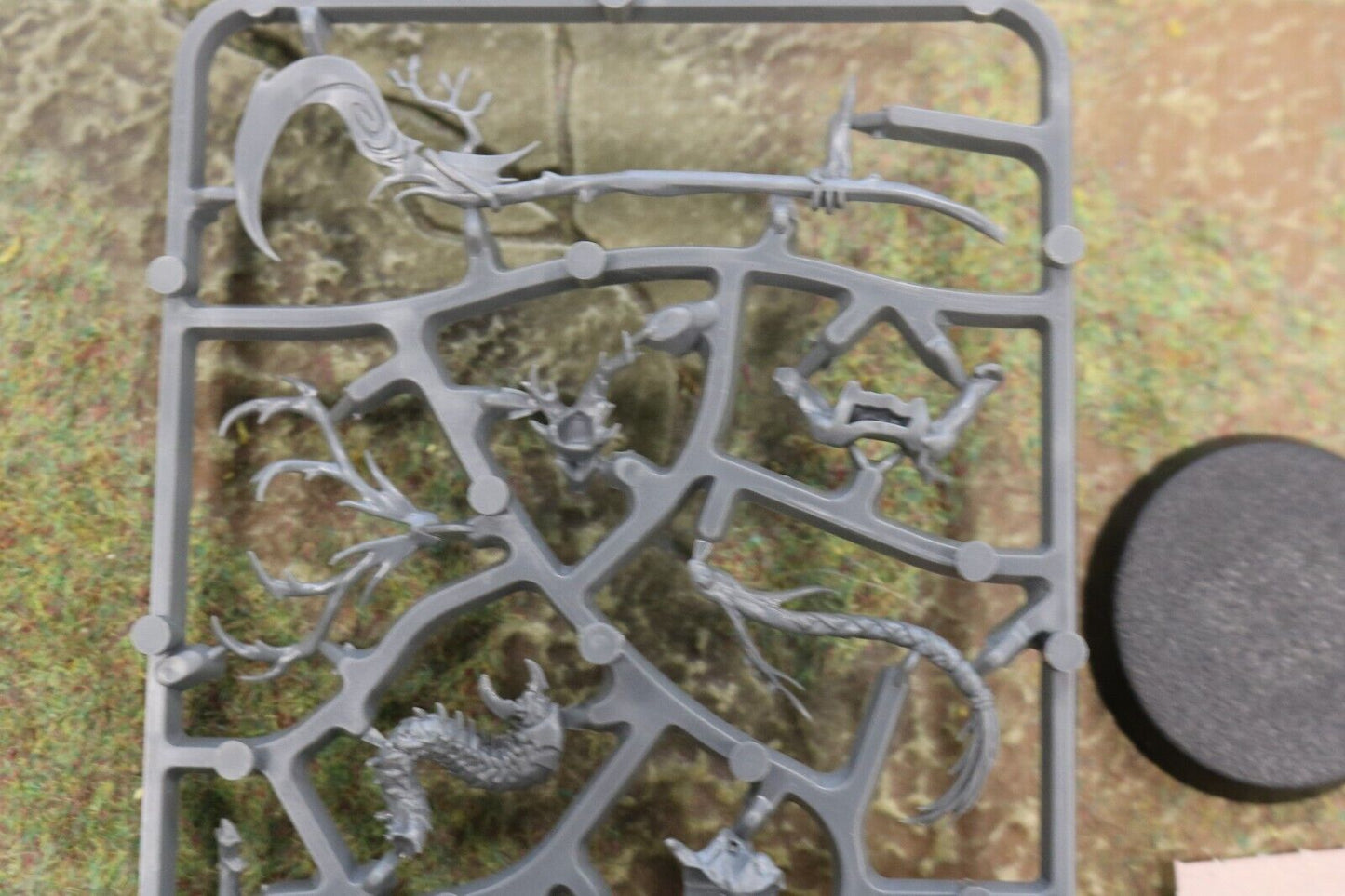 Branchwych On Sprue 207 Sylvaneth Warhammer 40k Age of Sigmar