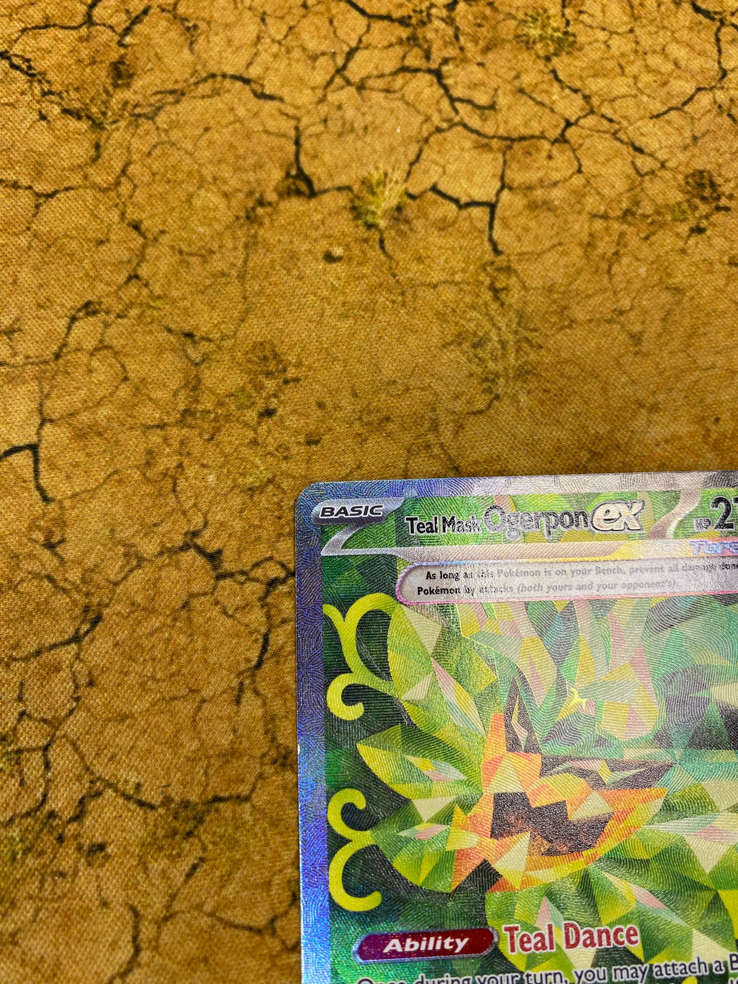 Teal Mask Ogerpon EX Special Illustration Rare 211/167 Twilight Masquerade Single Pokemon Card