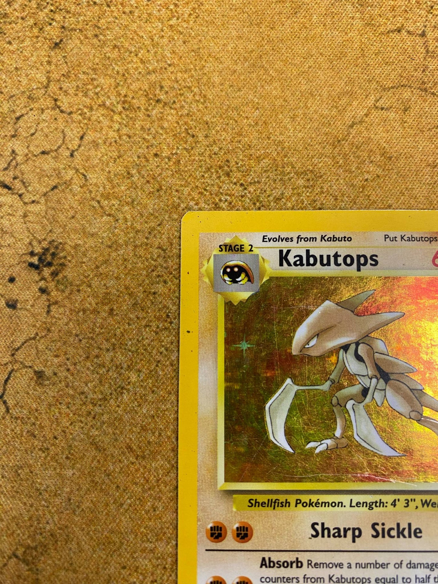 Kabutops Holo 9/62 Fossil Single Pokémon Card