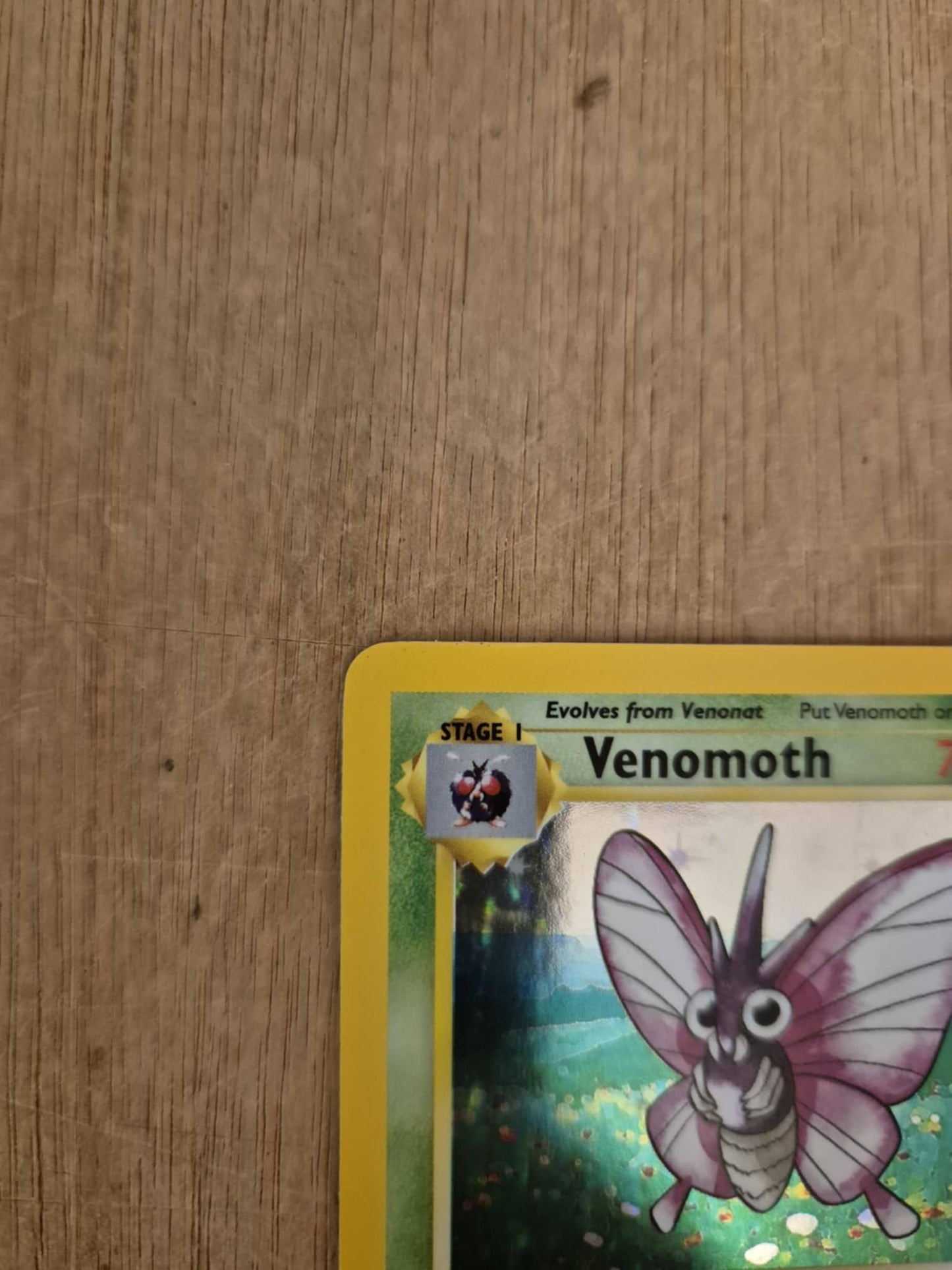 Venomoth Holo 13/64 Jungle Single Pokémon Card