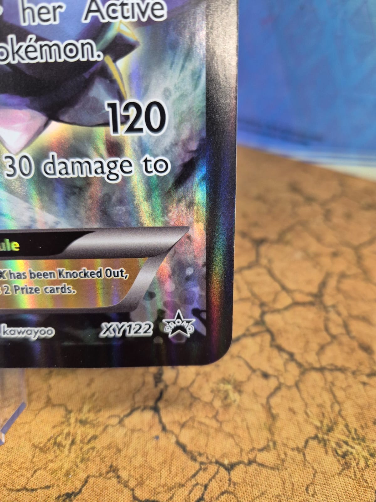 Blastoise EX XY122 JUMBO Black Star Promo Single Pokémon Card
