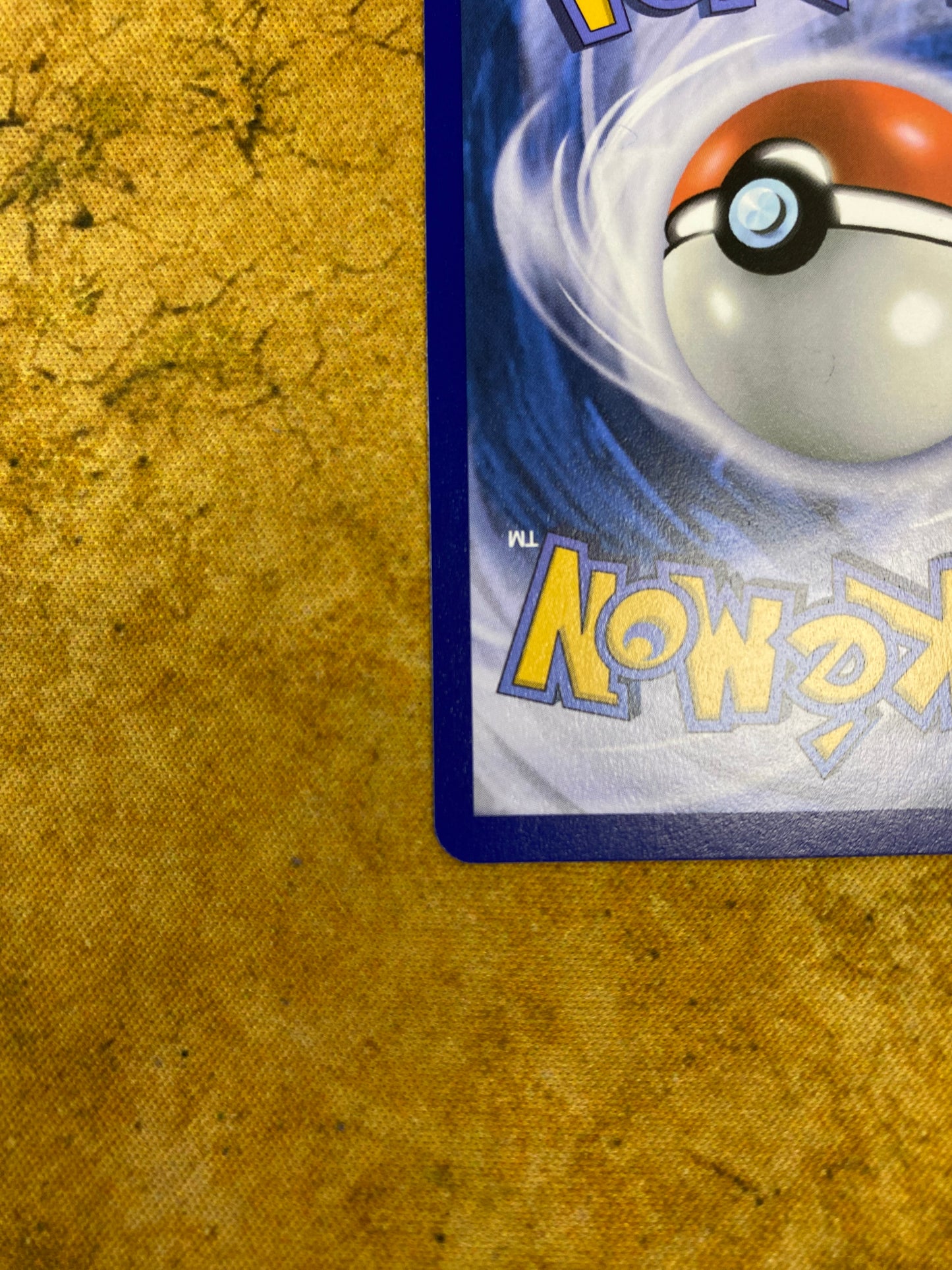 Skarmory Illustration Rare 209/191 Surging Sparks Single Pokemon Card