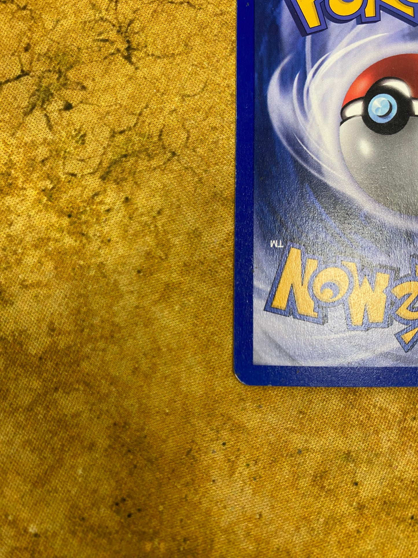 Shiftry Holo 12/100 Sandstorm Single Pokémon Card