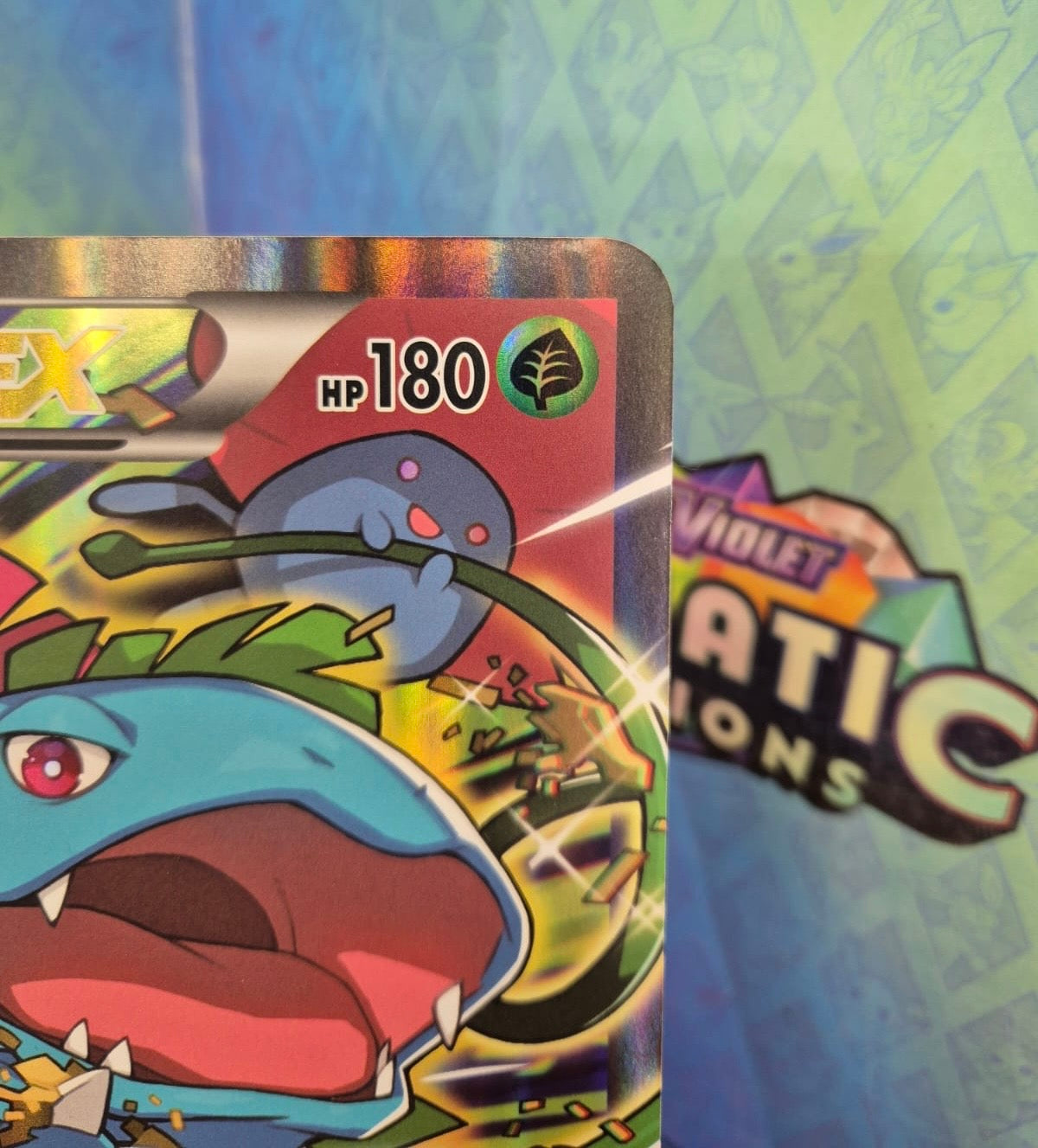 Venusaur EX XY123 JUMBO Black Star Promo Single Pokémon Card