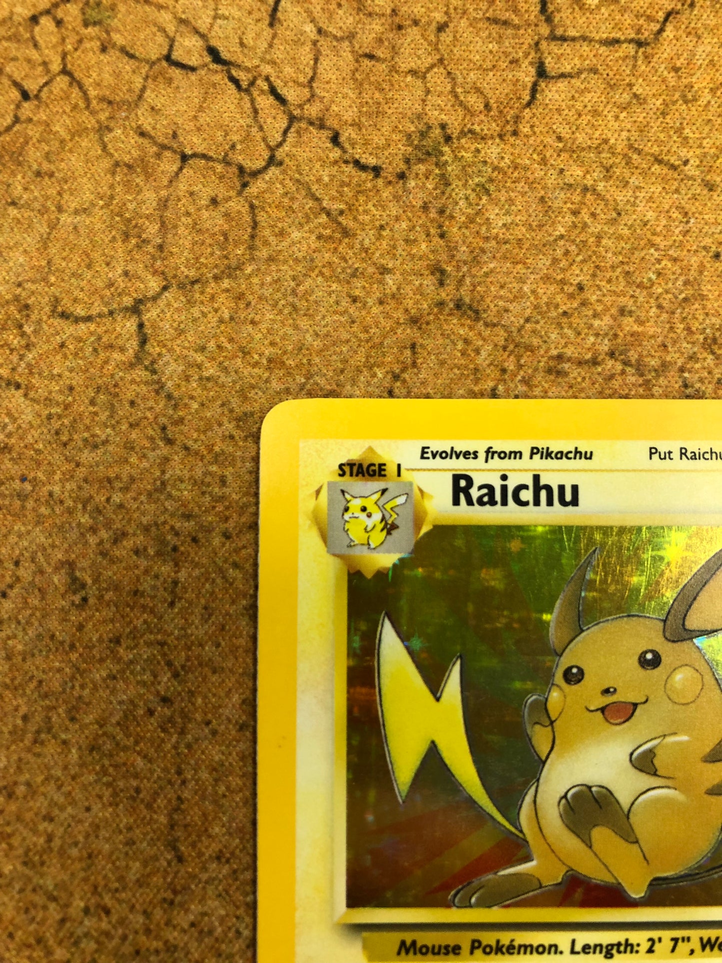 Raichu Holo 14/62 Fossil Pokémon Card Single