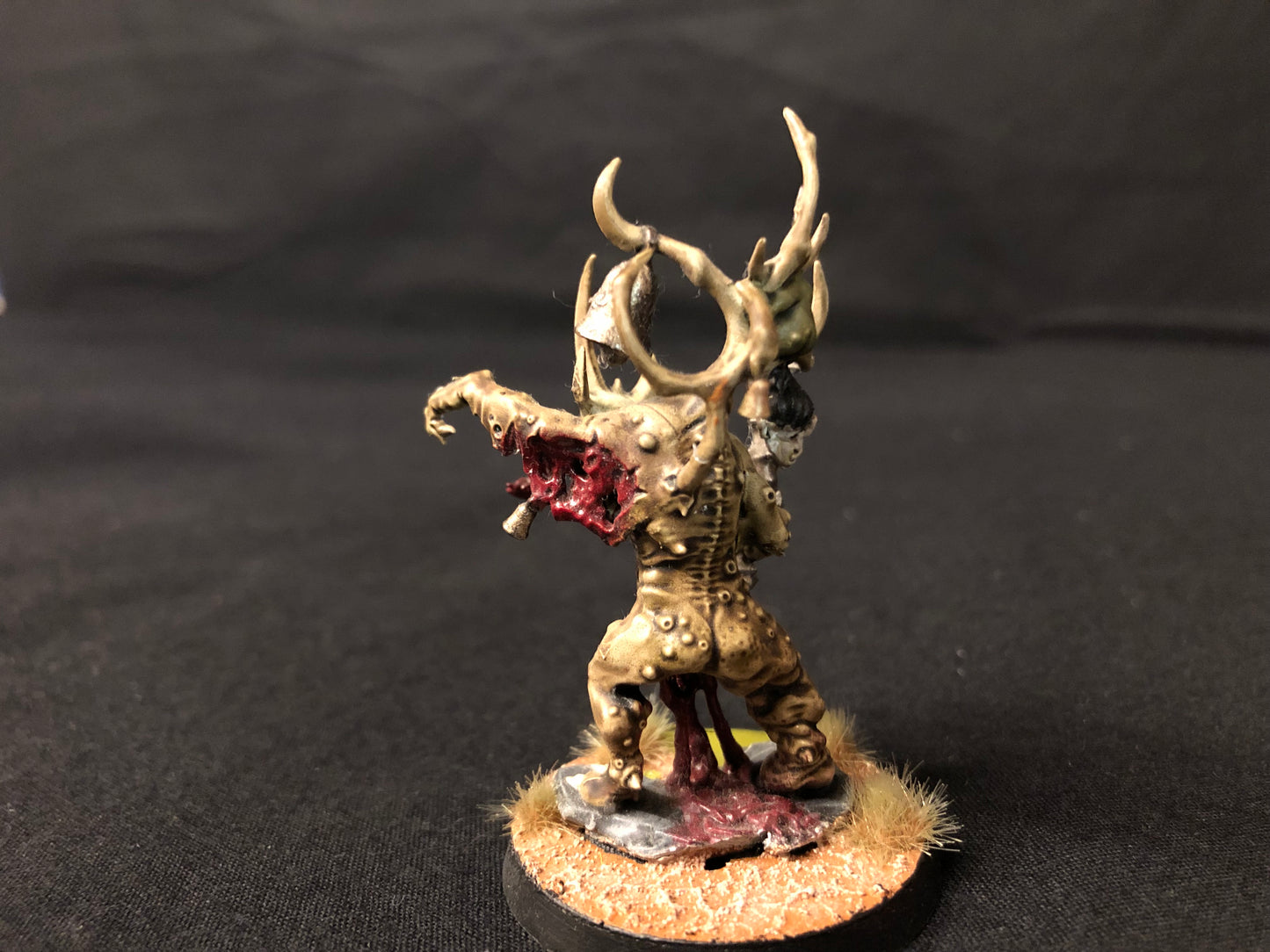 Poxbringer Herald of Nurgle #695 VERY Well Painted Death Guard Nurgle AOS Warhammer 40k