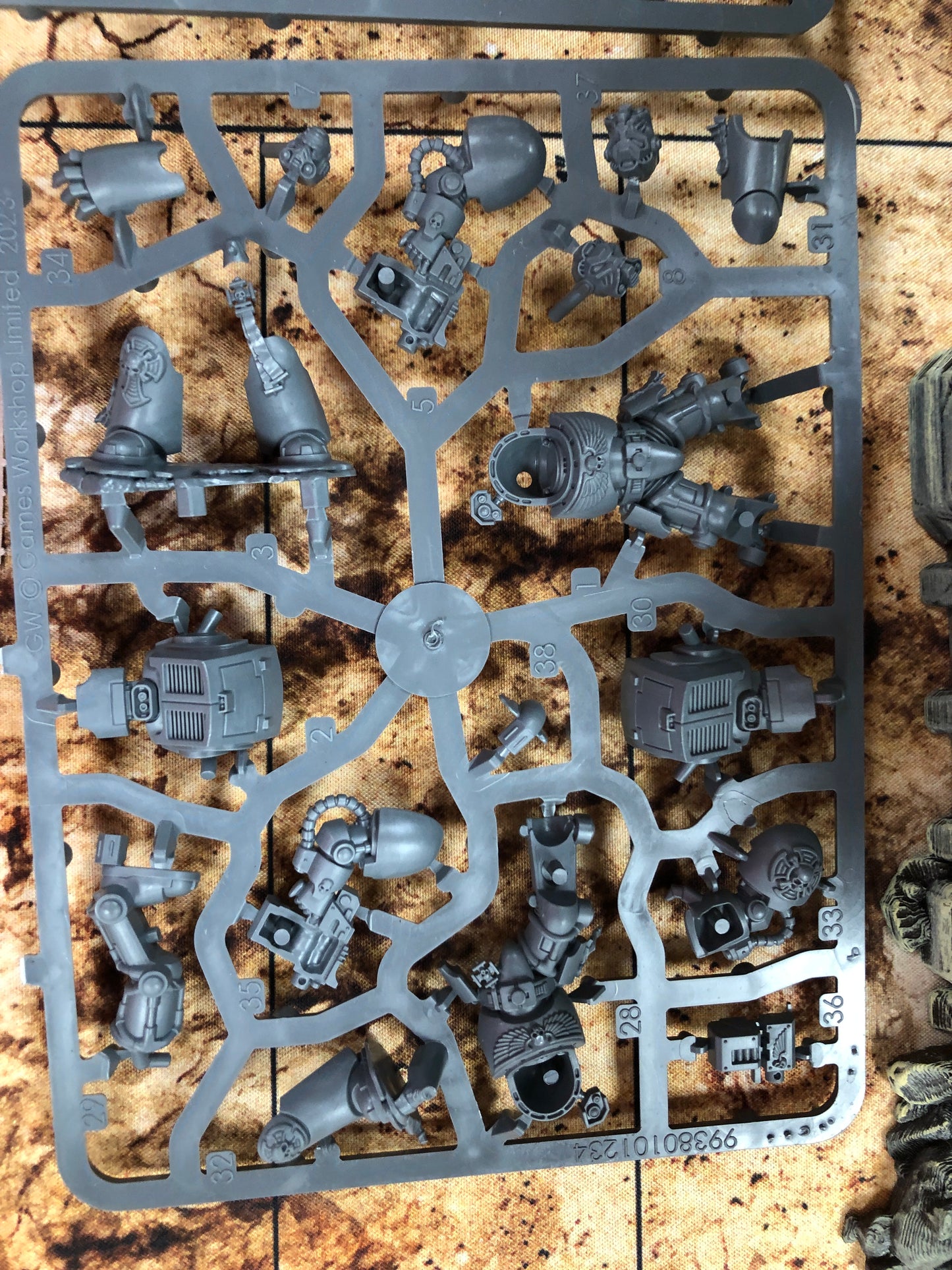 5x Primaris Terminators NOS #893 Space Marines Warhammer 40k