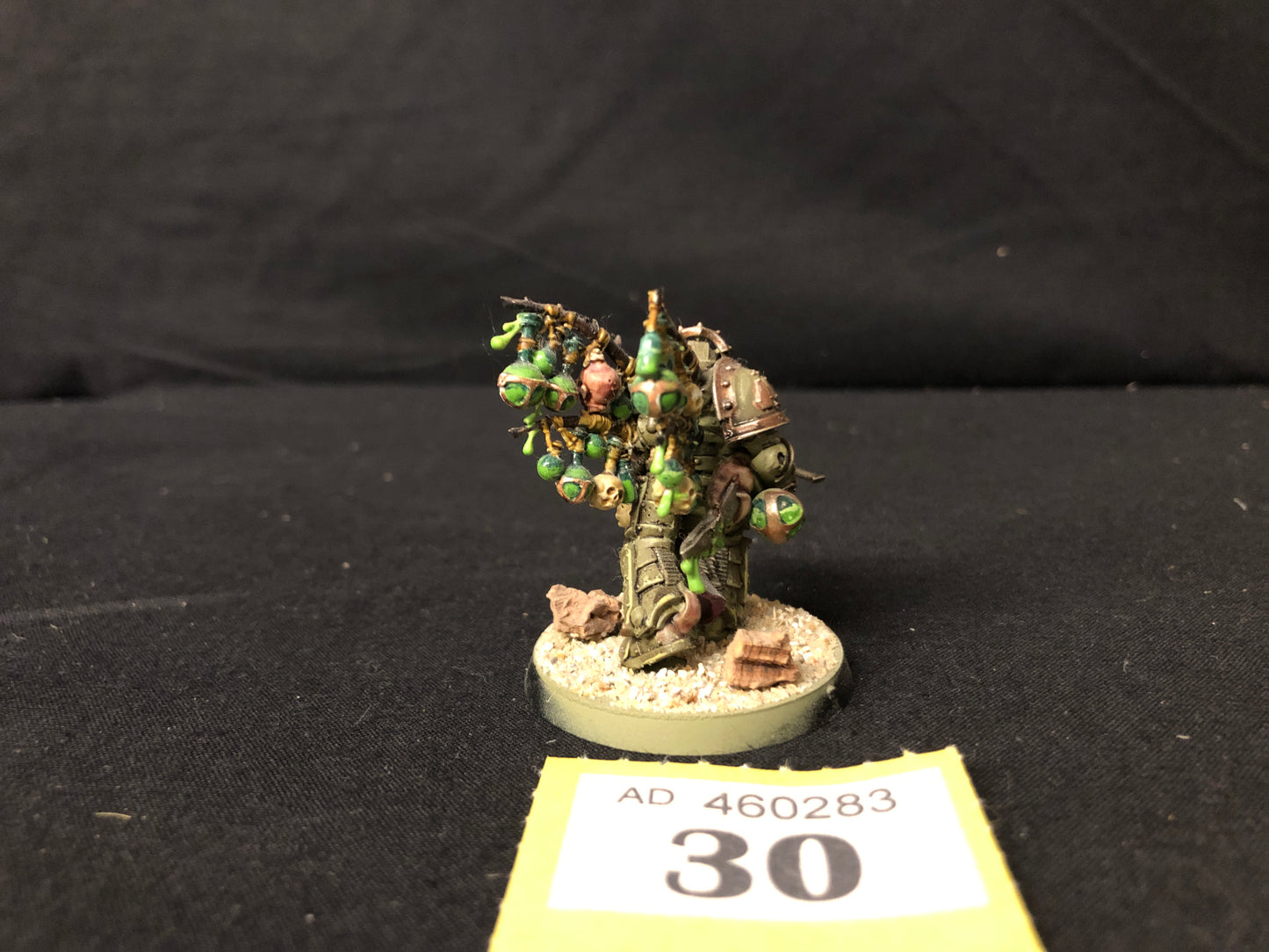 Biologus Putrifier #30 Well Painted Death Guard Warhammer 40k