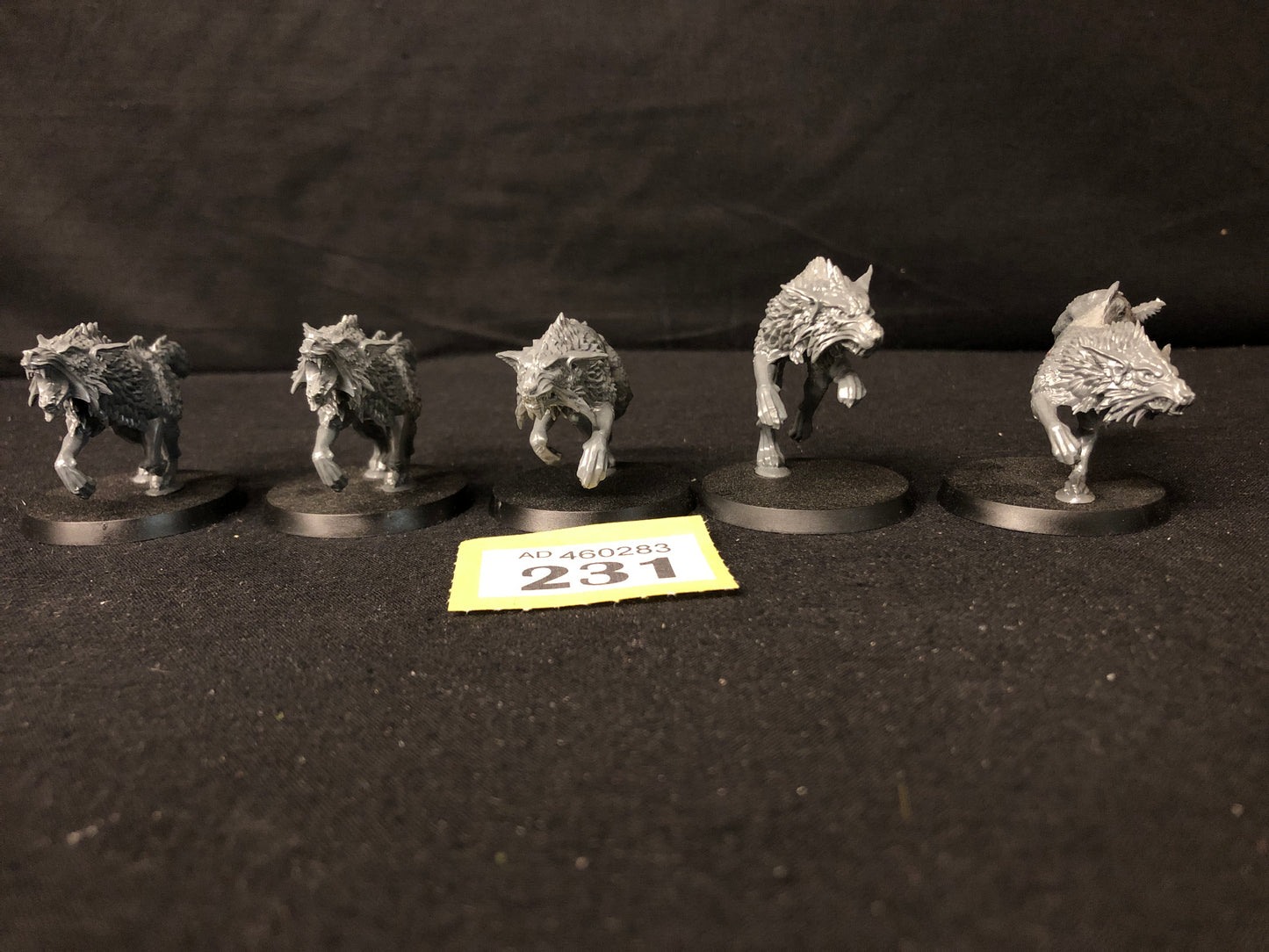 5x Fenrisian Wolves #231 Space Wolves Space Marines Warhammer 40k