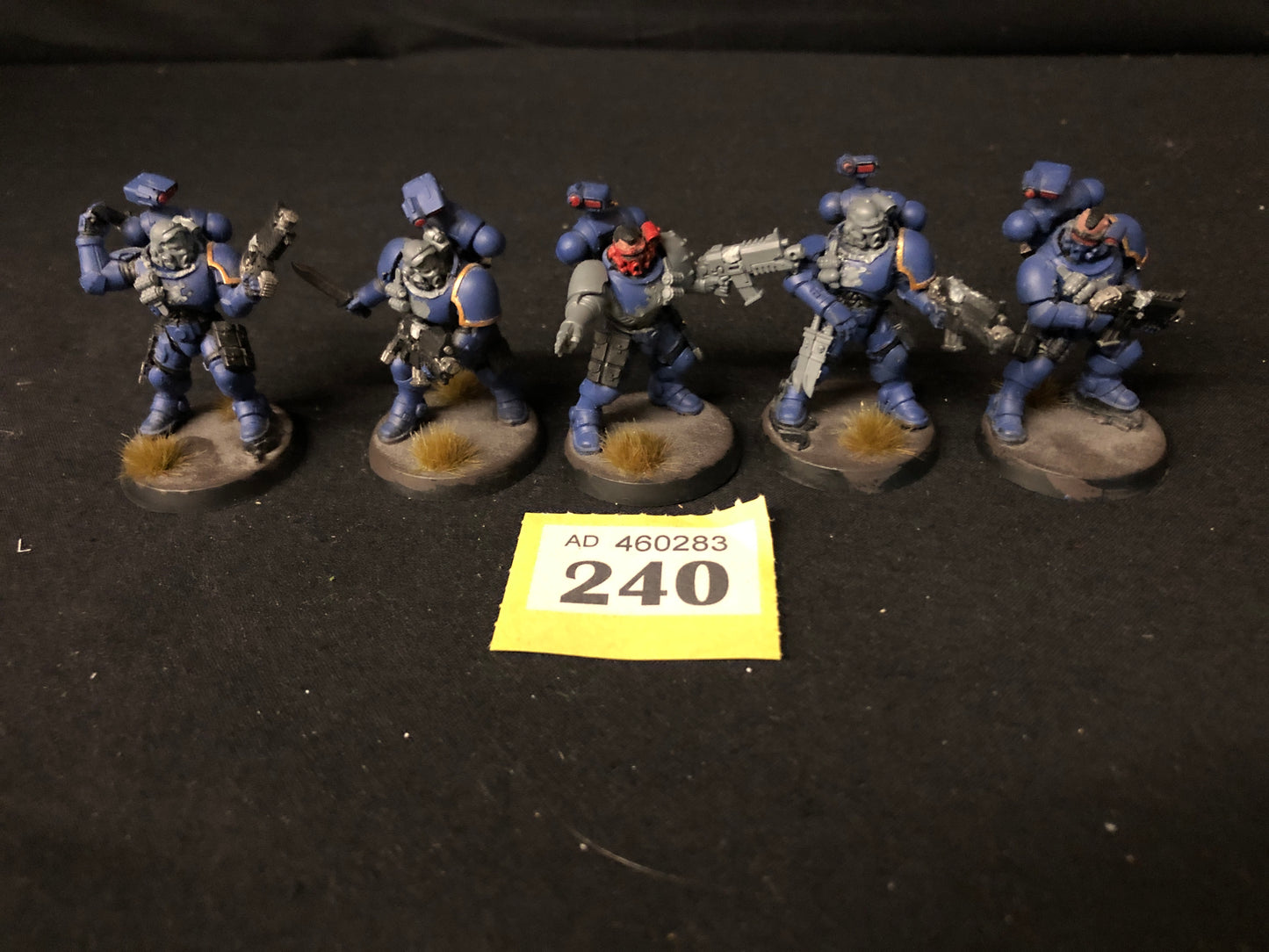 5x Primaris Incursors #240 Space Marines Warhammer 40k