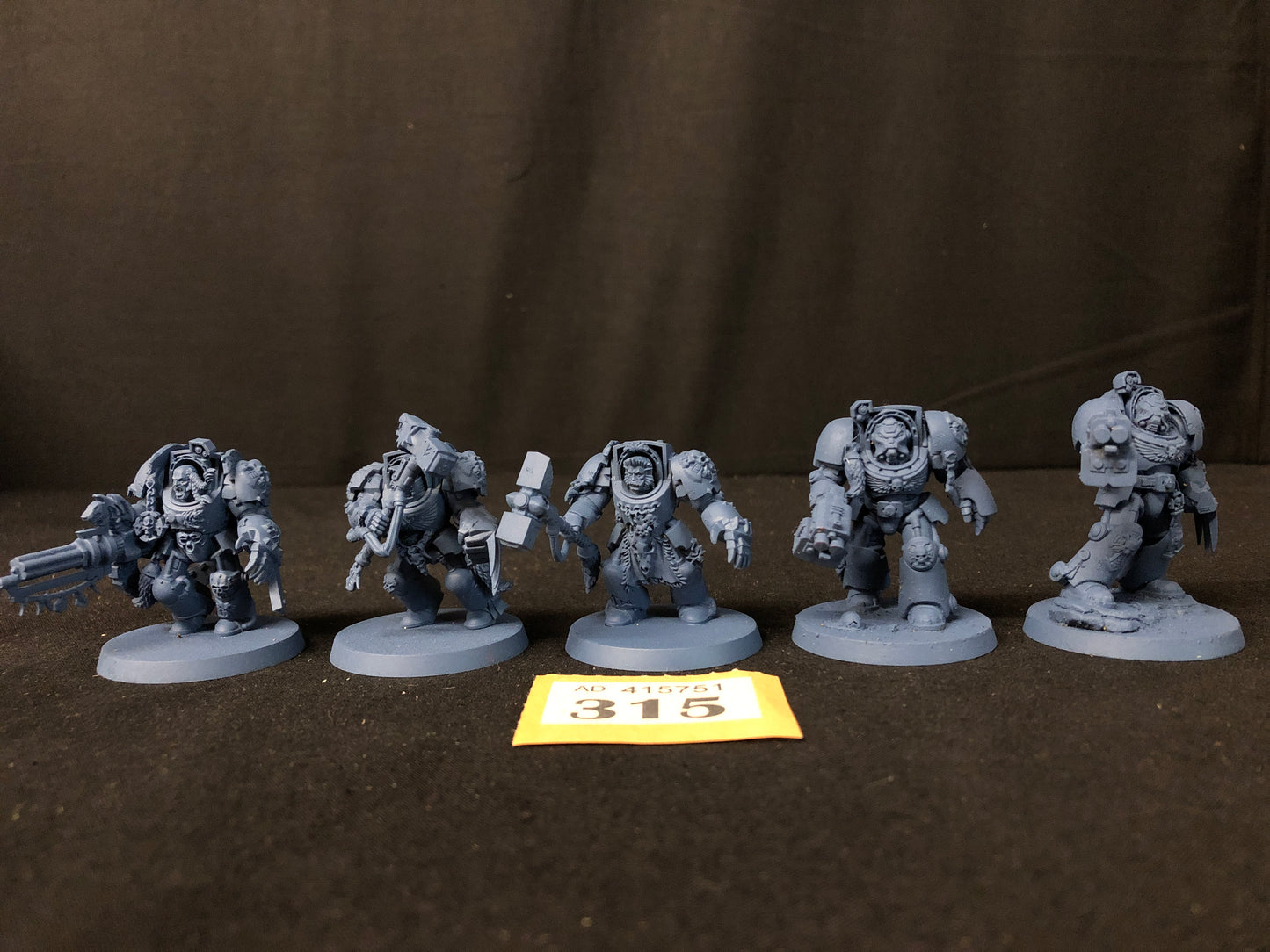 5x Wolf Guard Terminators Squad #315 Space Wolves Space Marines Warhammer 40k