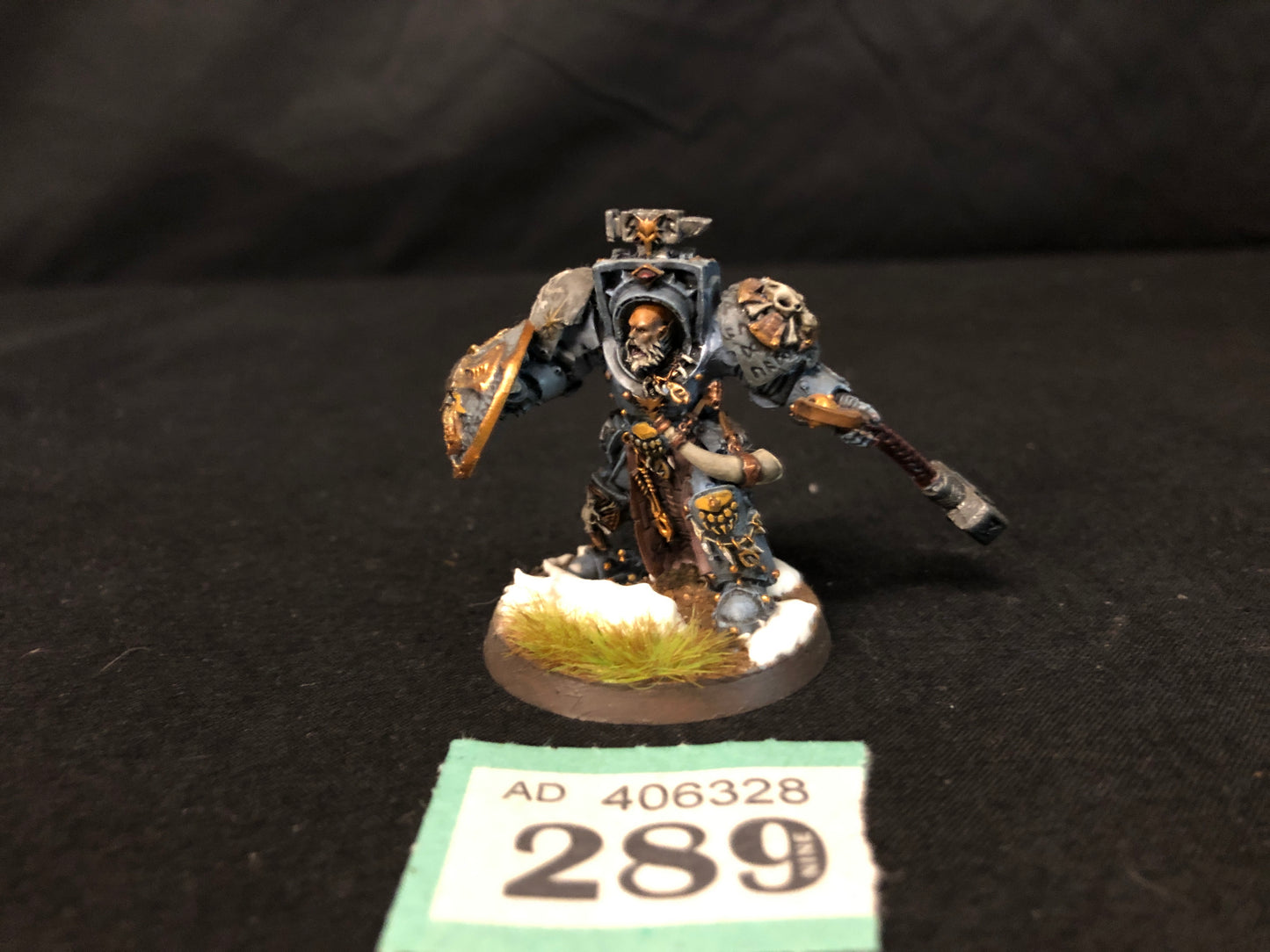 Arjac Rockfist #289 Well Painted Space Wolves Space Marines Warhammer 40k