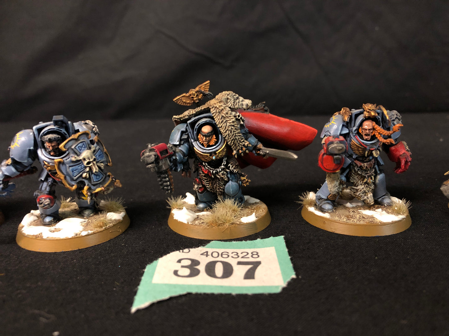 5x Wolf Guard Terminators #307 VERY Well Painted Space Wolves Space Marines Warhammer 40k
