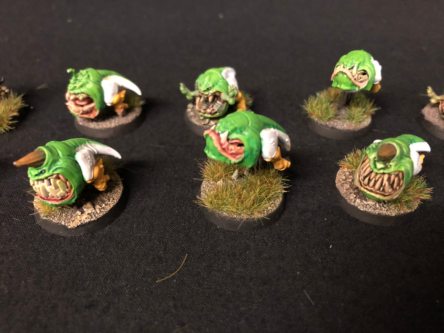 20x Squig Herd Orks #460 VERY Well Painted Gloomspite Gitz AOS Warhammer 40k