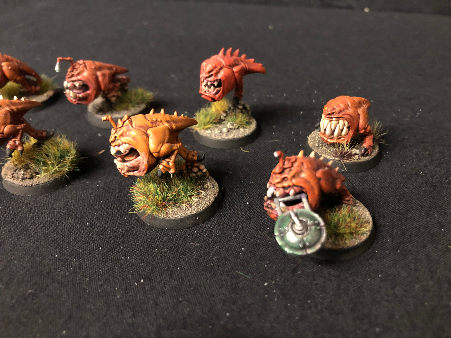 20x Squig Herd Orks #467 VERY Well Painted Gloomspite Gitz AOS Warhammer 40k