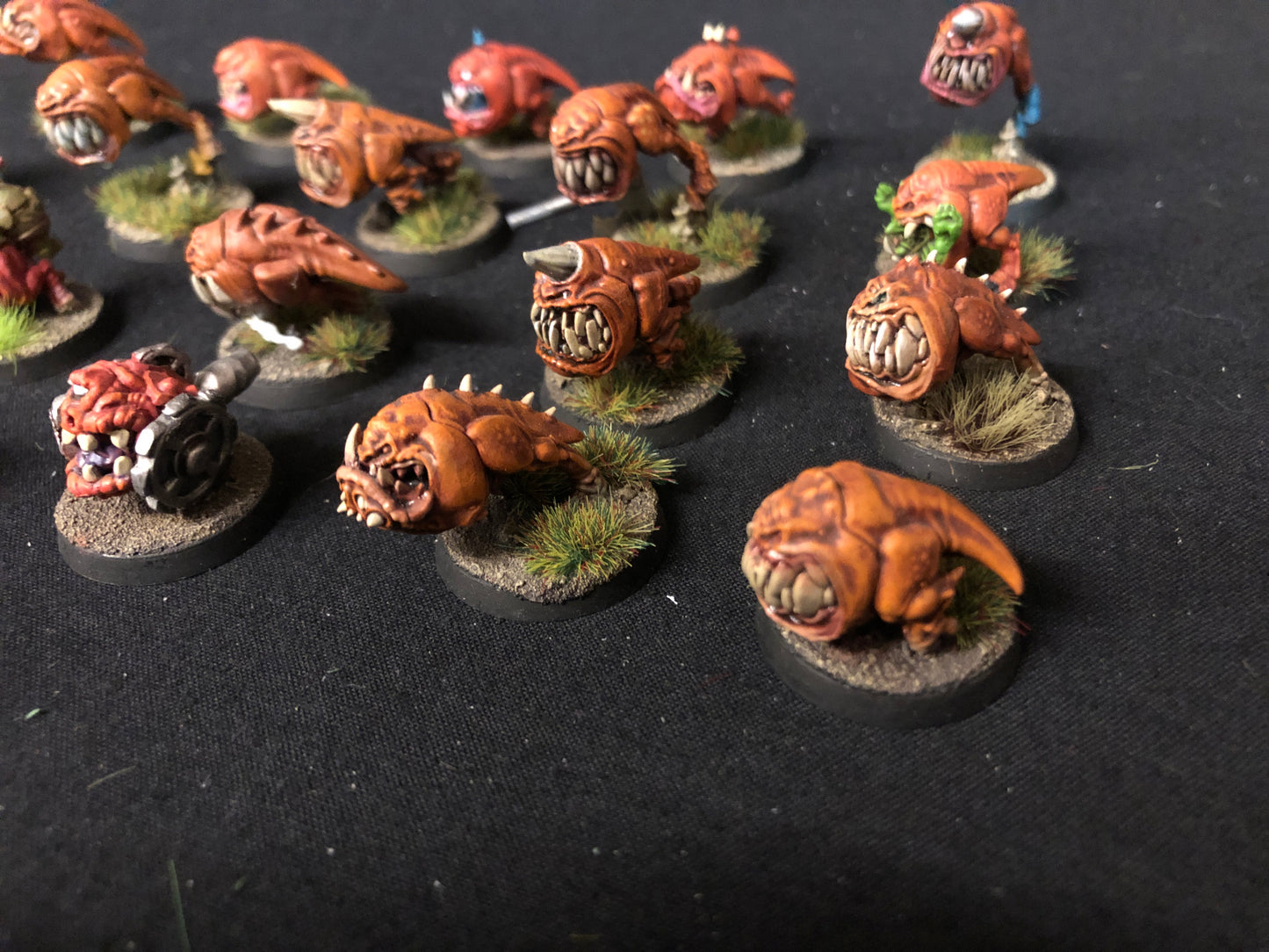 20x Squig Herd Orks #468 VERY Well Painted Gloomspite Gitz AOS Warhammer 40k