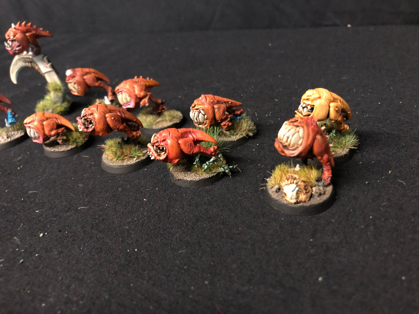 20x Squig Herd Orks #474 VERY Well Painted Gloomspite Gitz AOS Warhammer 40k