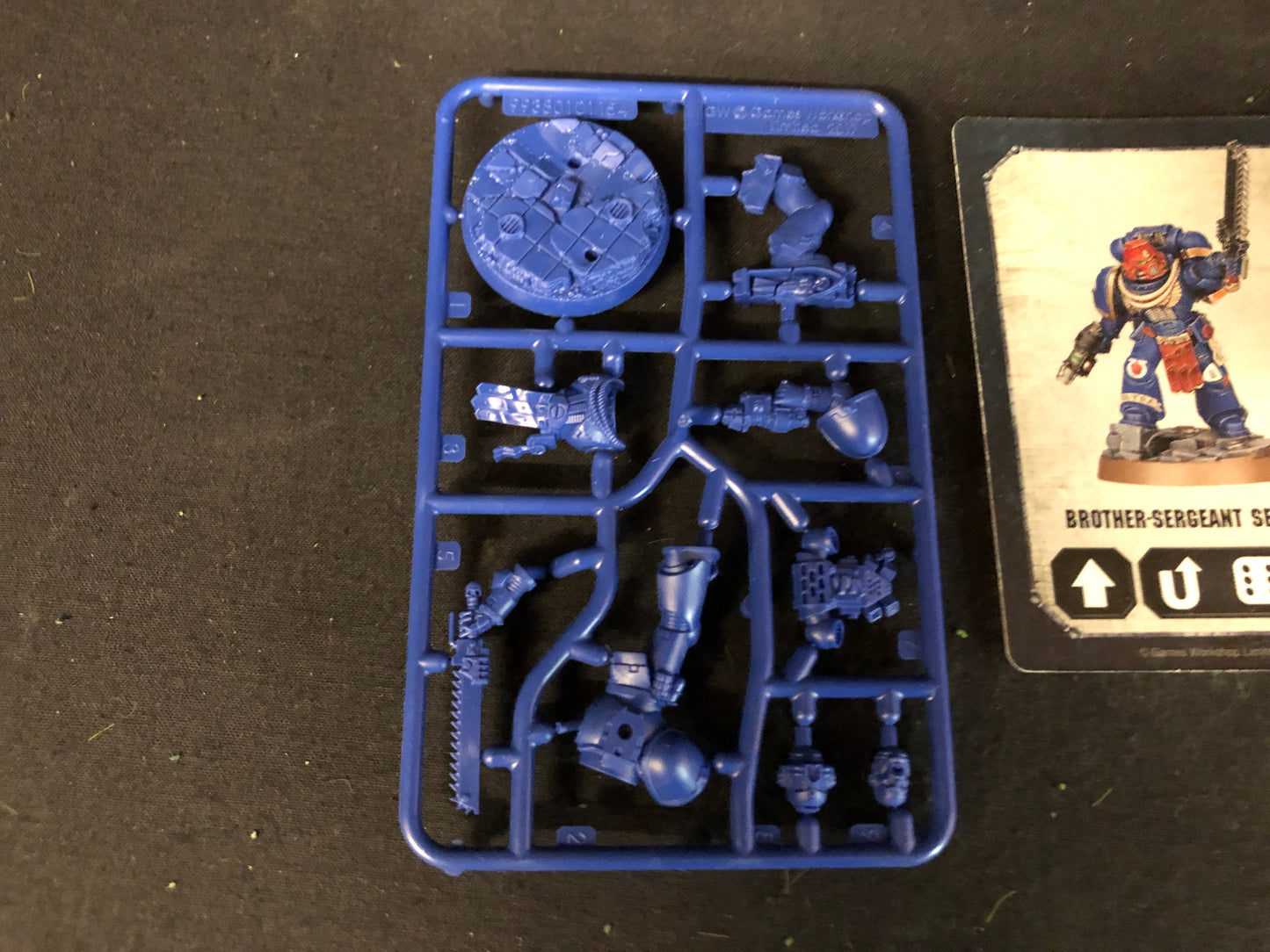 Brother-Sergeant Sevastus Heroes Series 1 #497 Space Marines Warhammer 40k