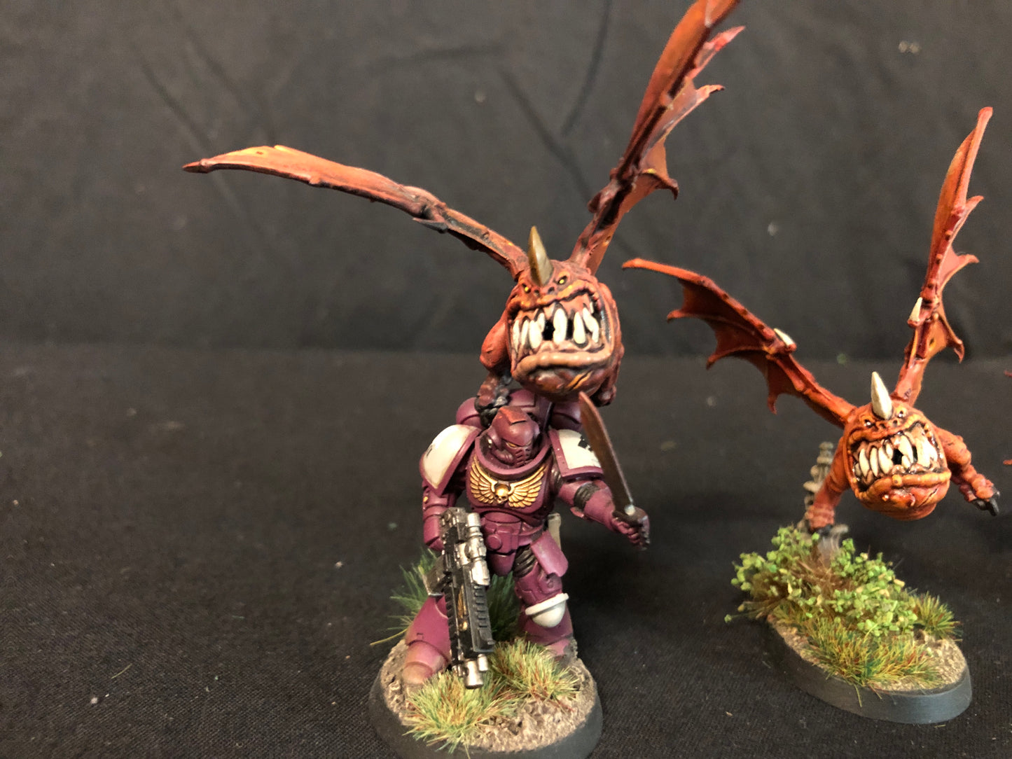 5x Custom Squig Bats Orks #520 VERY Well Painted gloomspite Gitz AOS Warhammer 40k