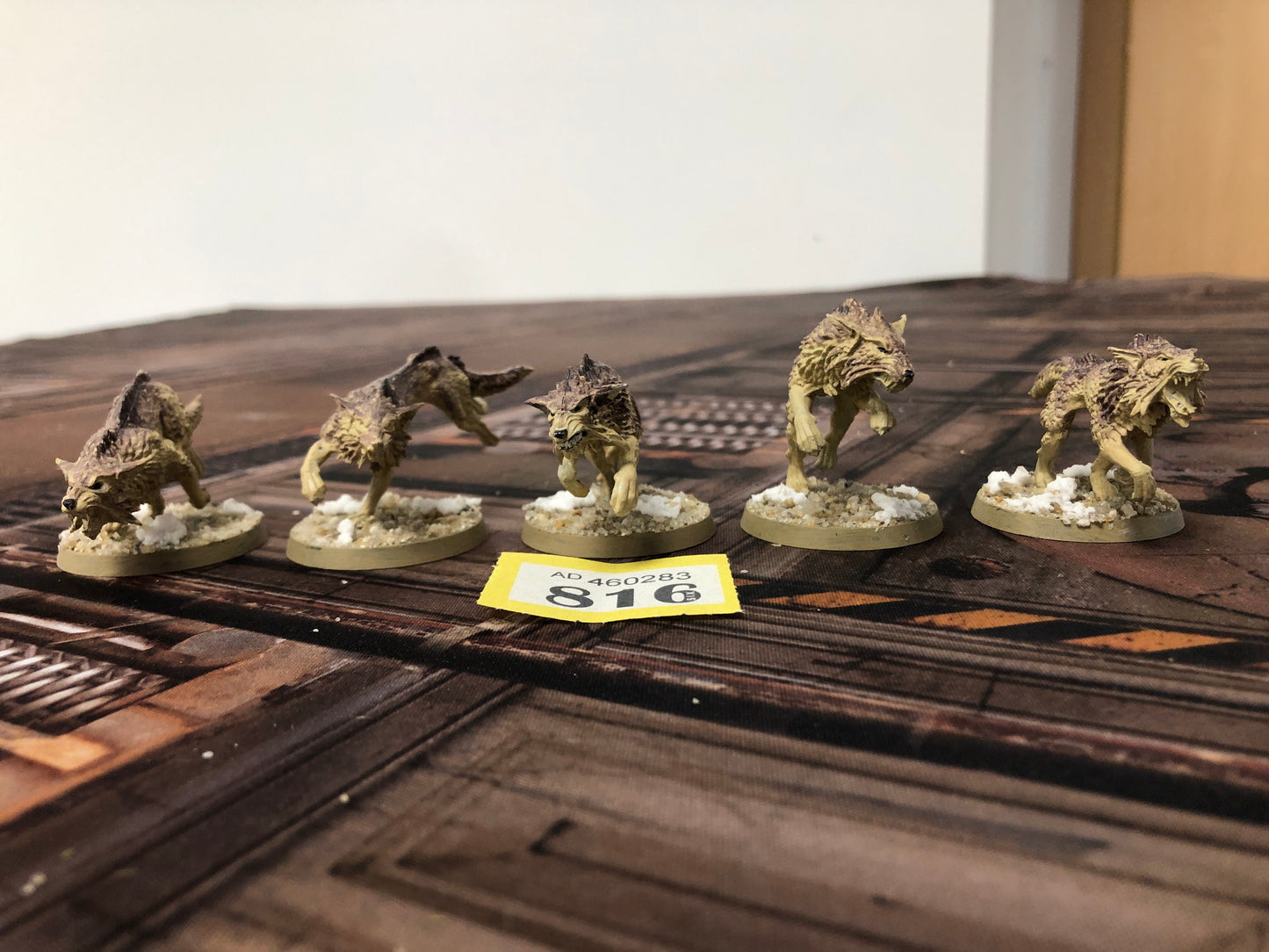 5x Fenrisian Wolves Space Wolves #816 Space Marines Warhammer 40k