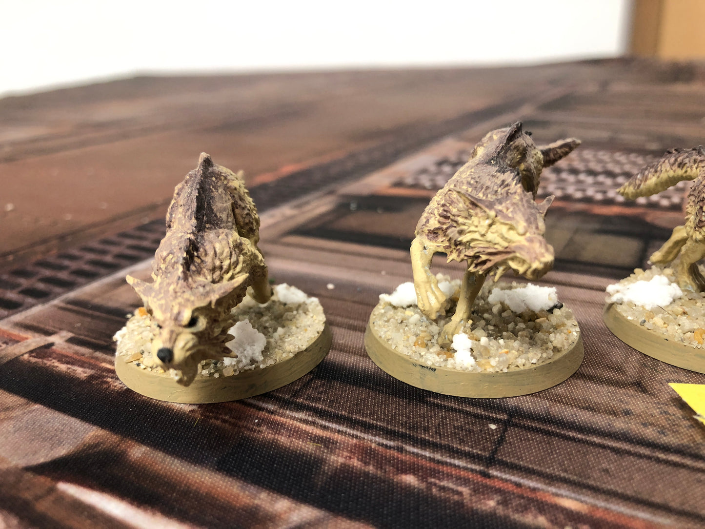 5x Fenrisian Wolves Space Wolves #816 Space Marines Warhammer 40k
