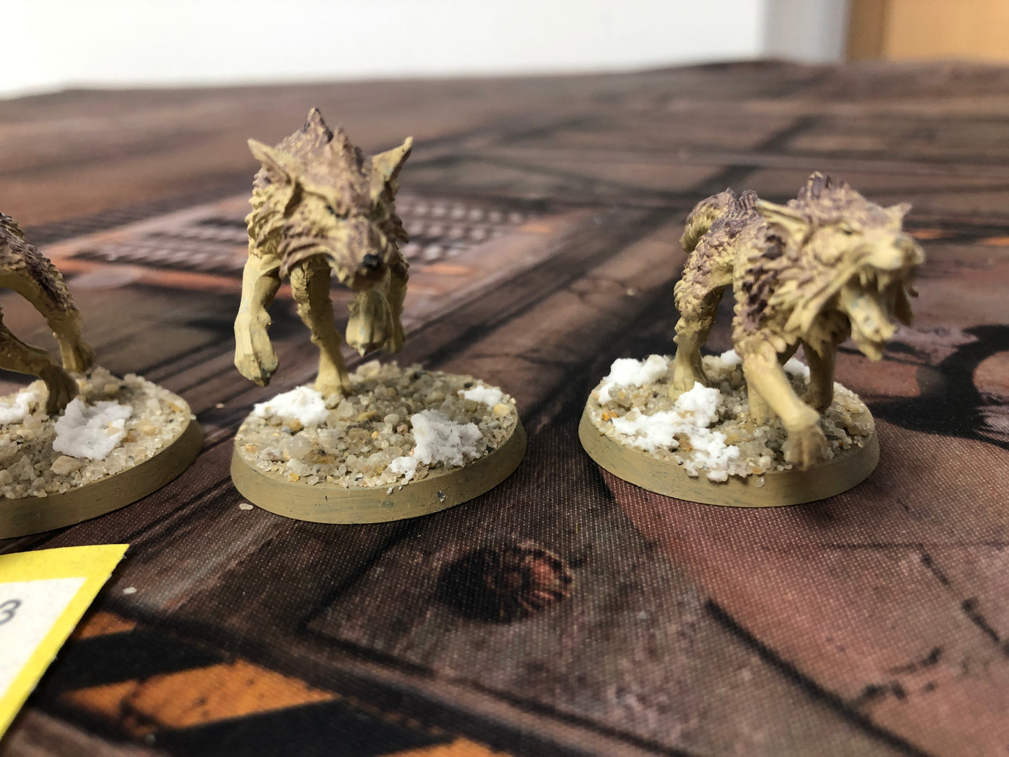 5x Fenrisian Wolves Space Wolves #816 Space Marines Warhammer 40k