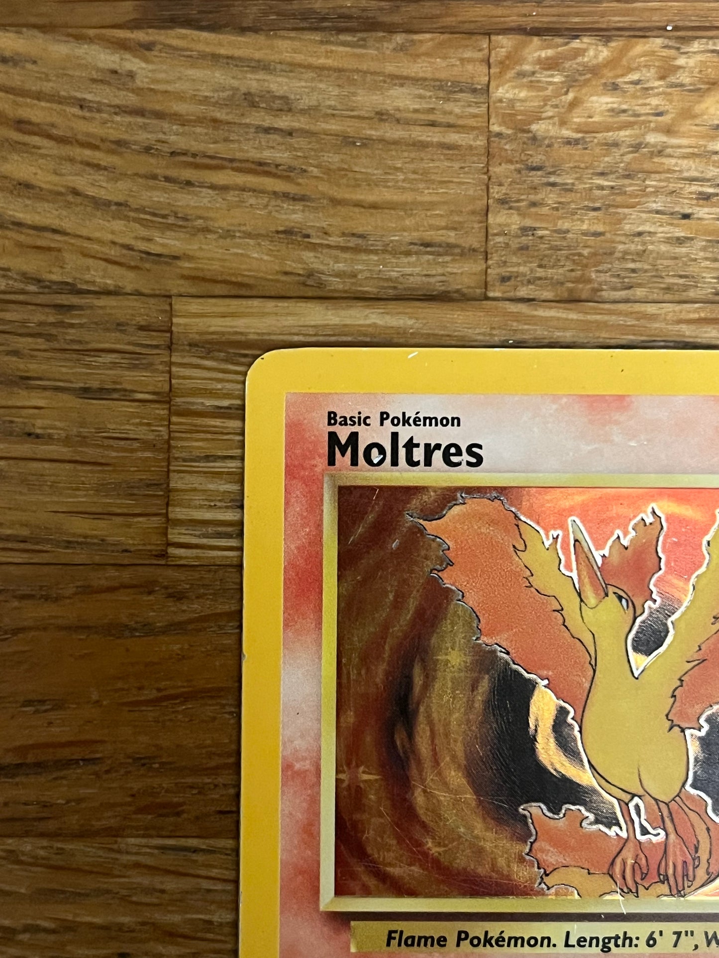 Moltres Holo 12/62 Fossil LP Single Pokémon Card