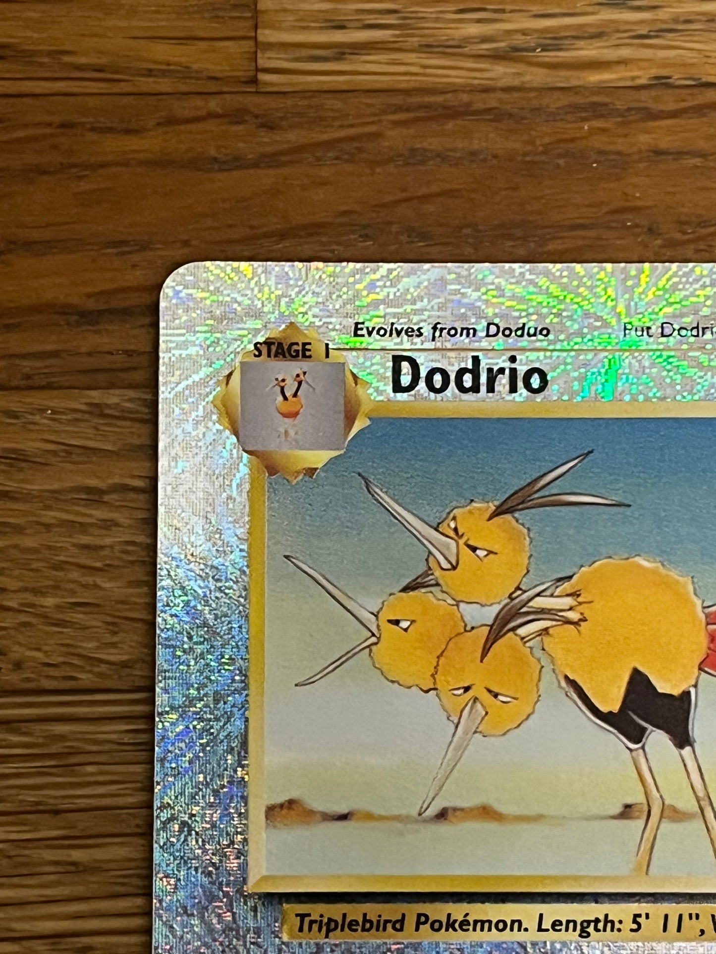 Dodrio Reverse Holo 41/110 Legendary Collection NM Single Pokemon Card