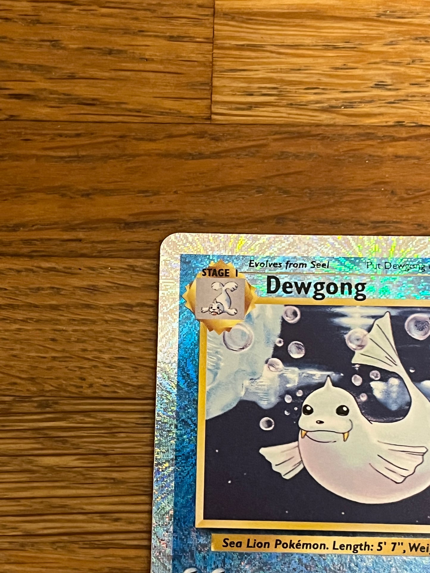 Dewgong Reverse Holo 40/110 Legendary Collection NM Single Pokemon Card