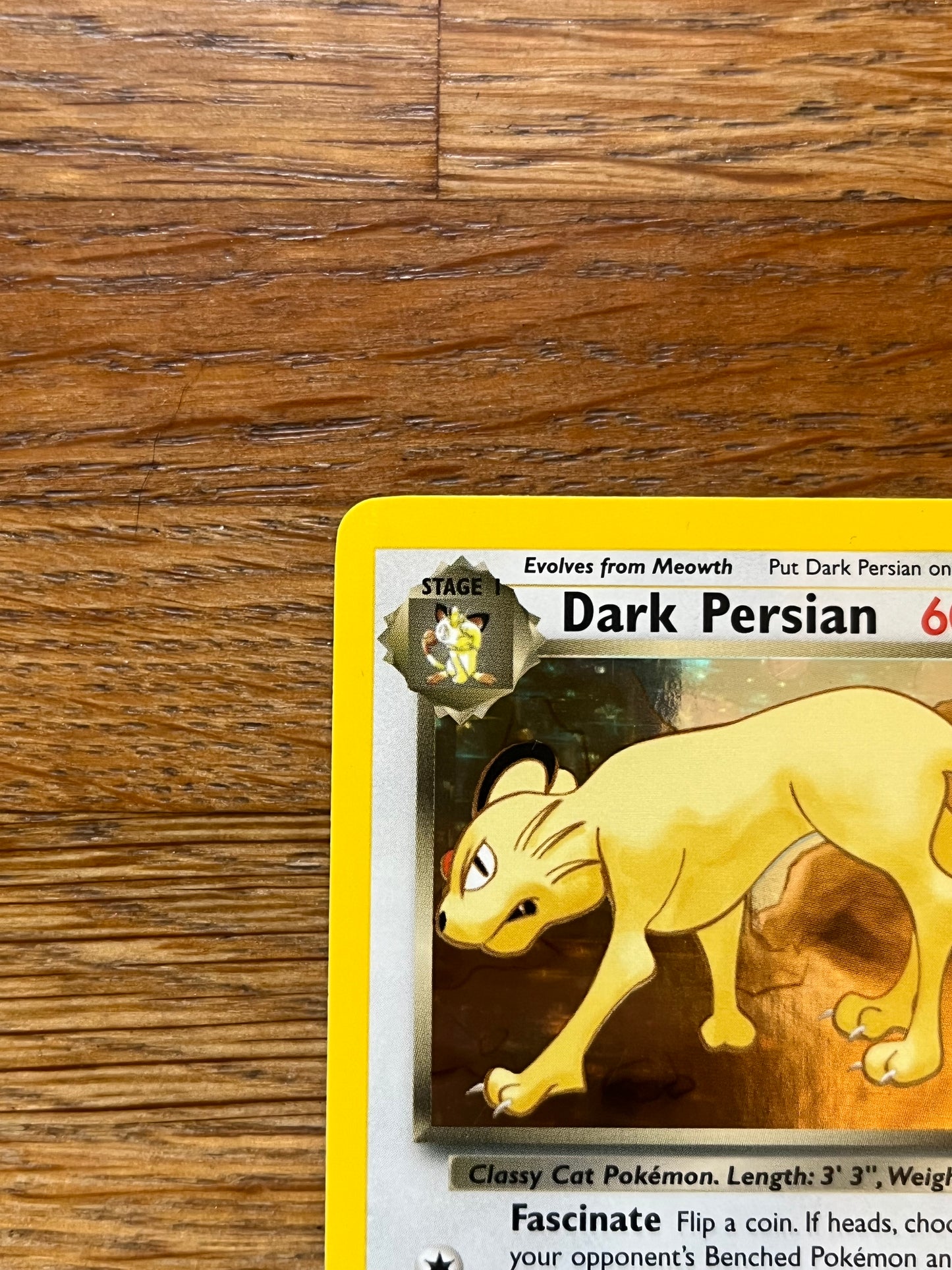 Dark Persion Holo 6/110 Legendary Collection NM Single Pokemon Card