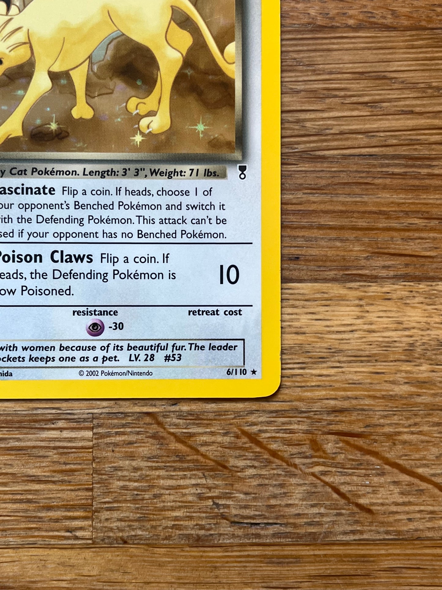 Dark Persion Holo 6/110 Legendary Collection NM Single Pokemon Card