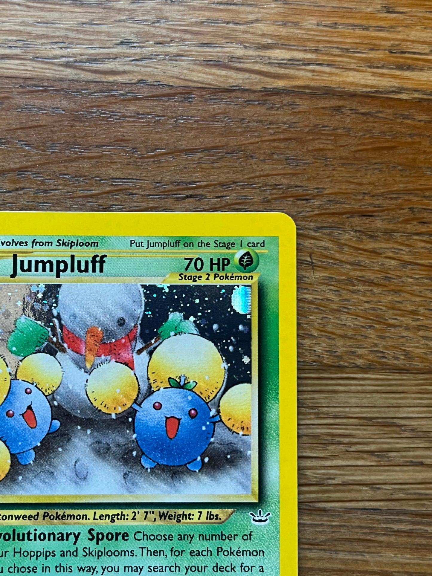Jumpluff Holo 9/64 Neo Revelations NM Single Pokemon Card