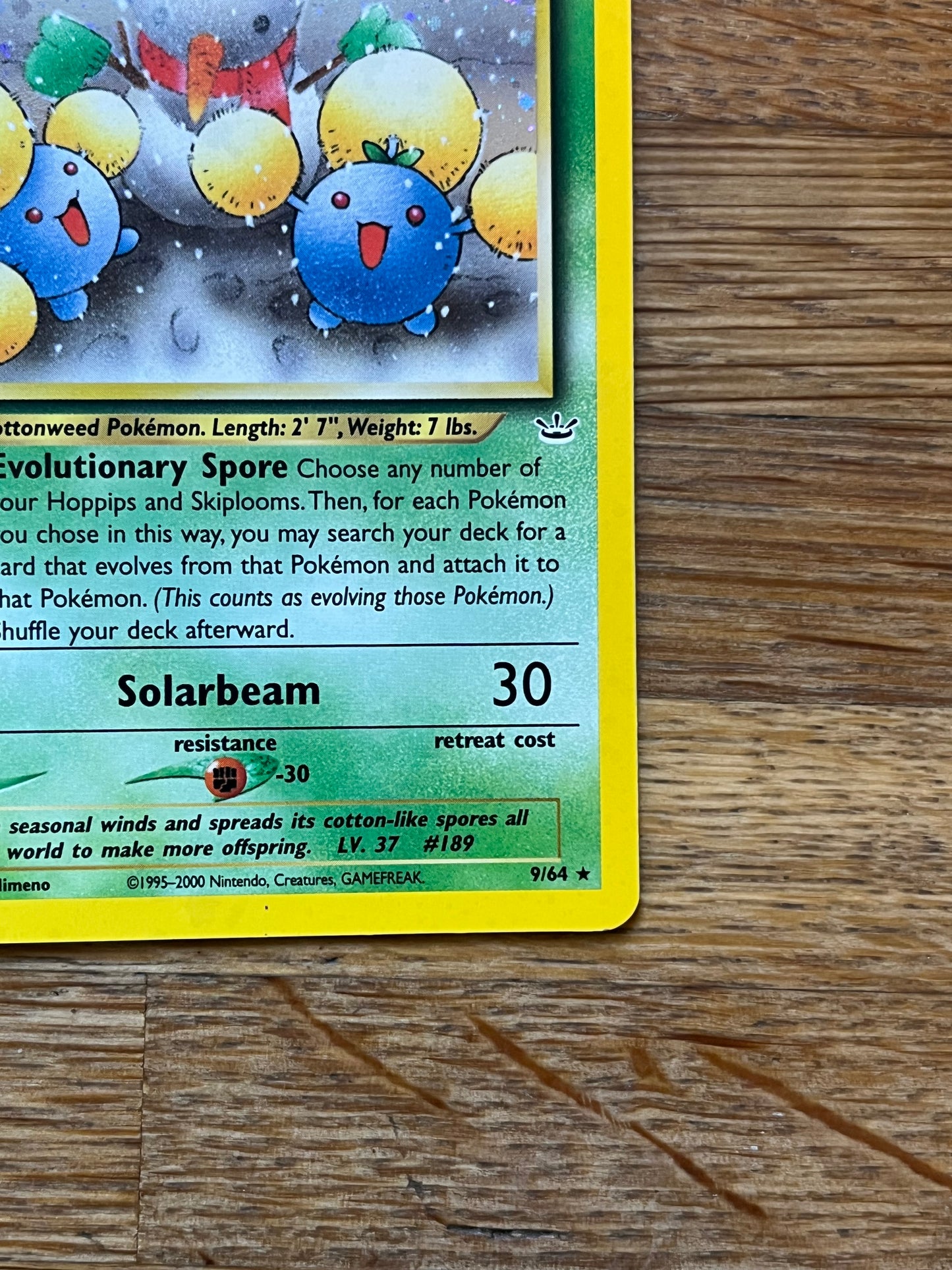 Jumpluff Holo 9/64 Neo Revelations NM Single Pokemon Card