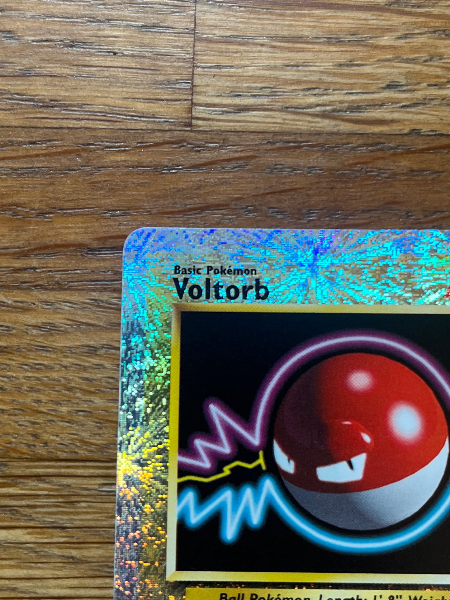 Voltorb Reverse Holo 97/110 Legendary Collection NM Single Pokemon Card