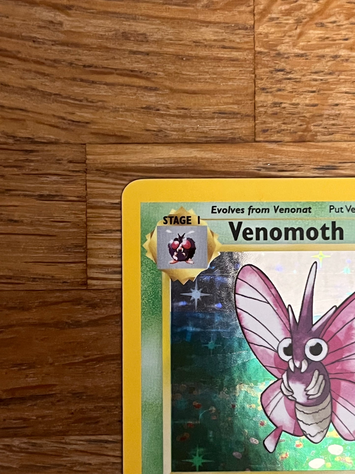 Venomoth Holo 13/64 Jungle NM Single Pokémon Card