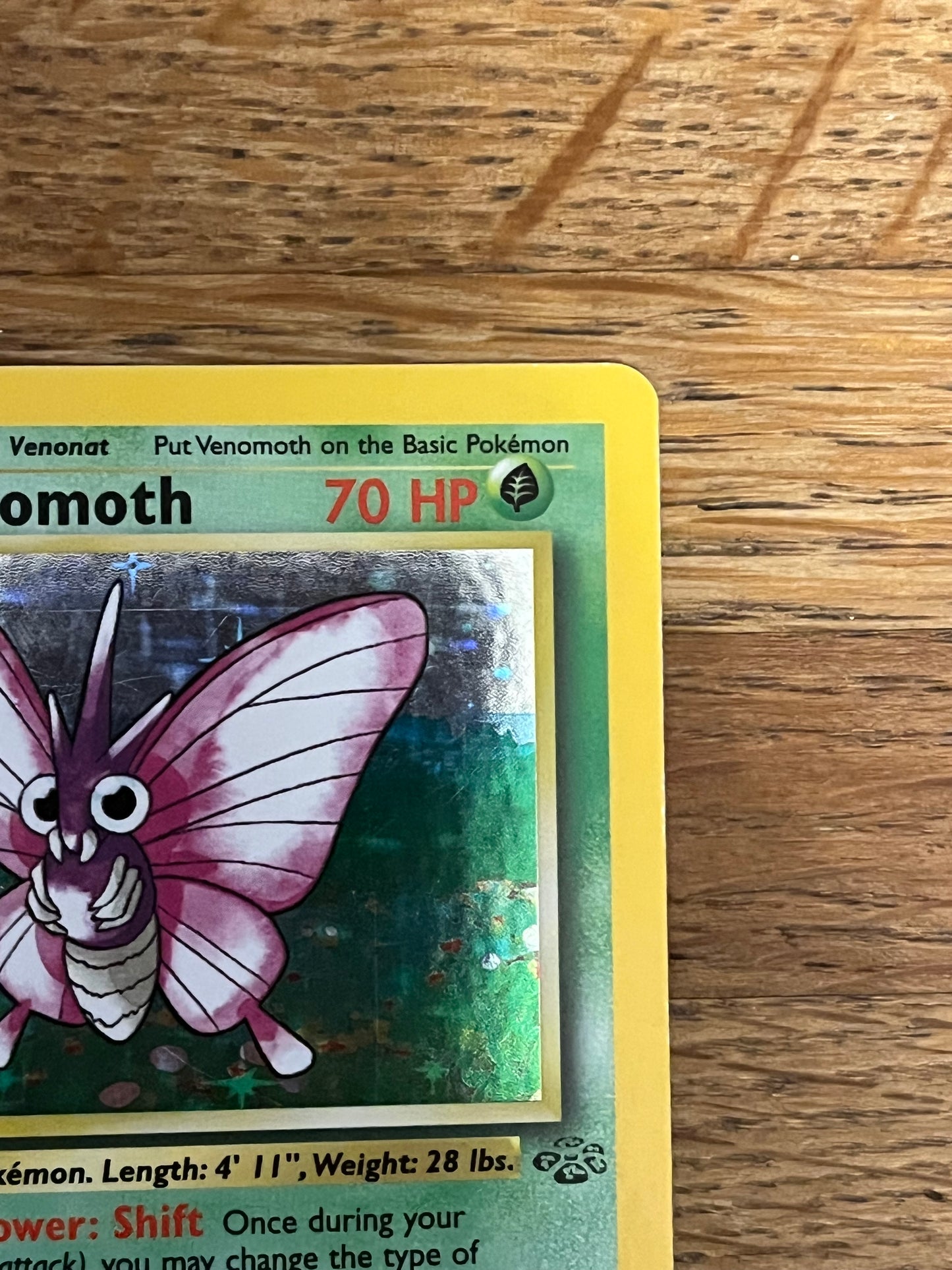 Venomoth Holo 13/64 Jungle NM Single Pokémon Card
