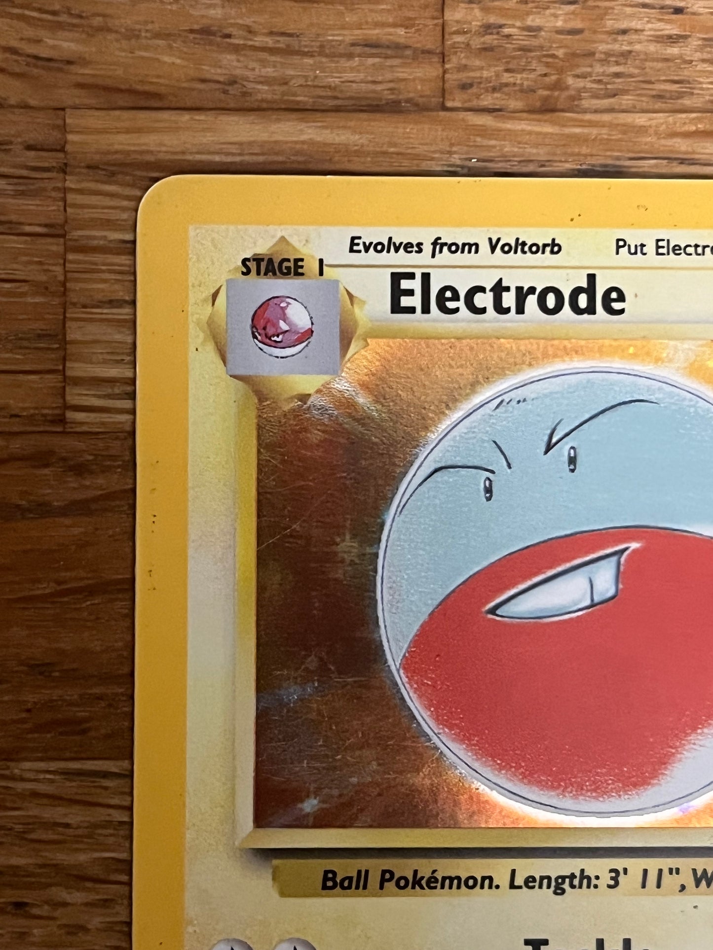 Electrode Holo 2/64 Jungle NM Single Pokémon Card