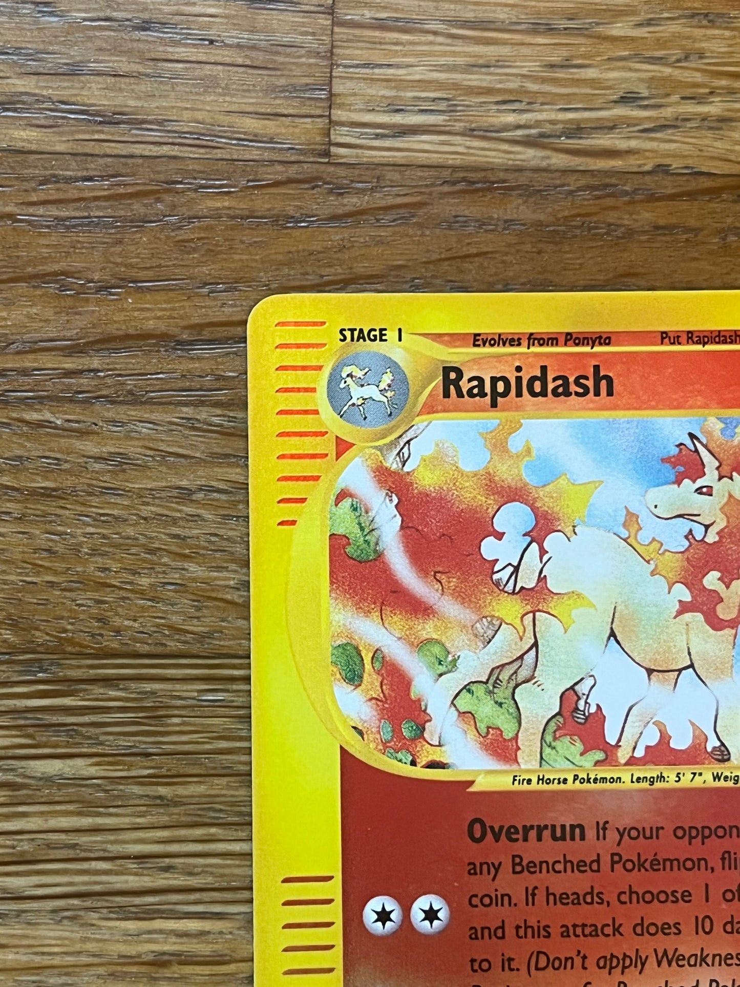 Rapidash Reverse Holo 26/165 Expedition NM Single Pokemon Card