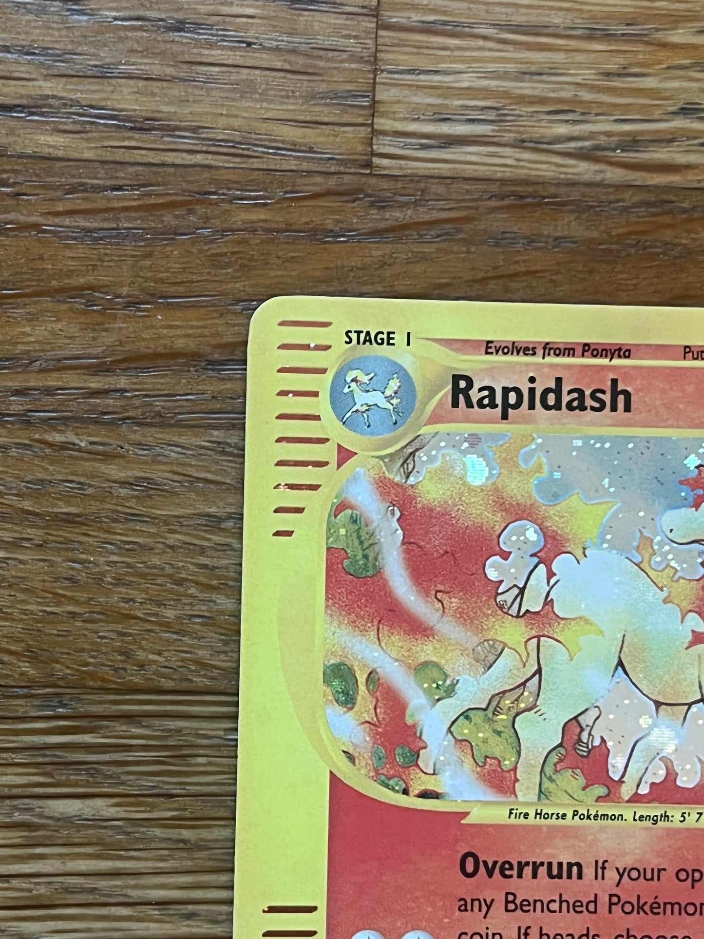 Rapidash Holo 26/165 Expedition NM Single Pokemon Card