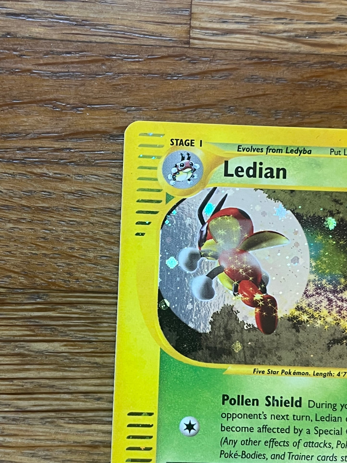 Ledian Holo H14/H32 Skyridge NM Single Pokemon Card