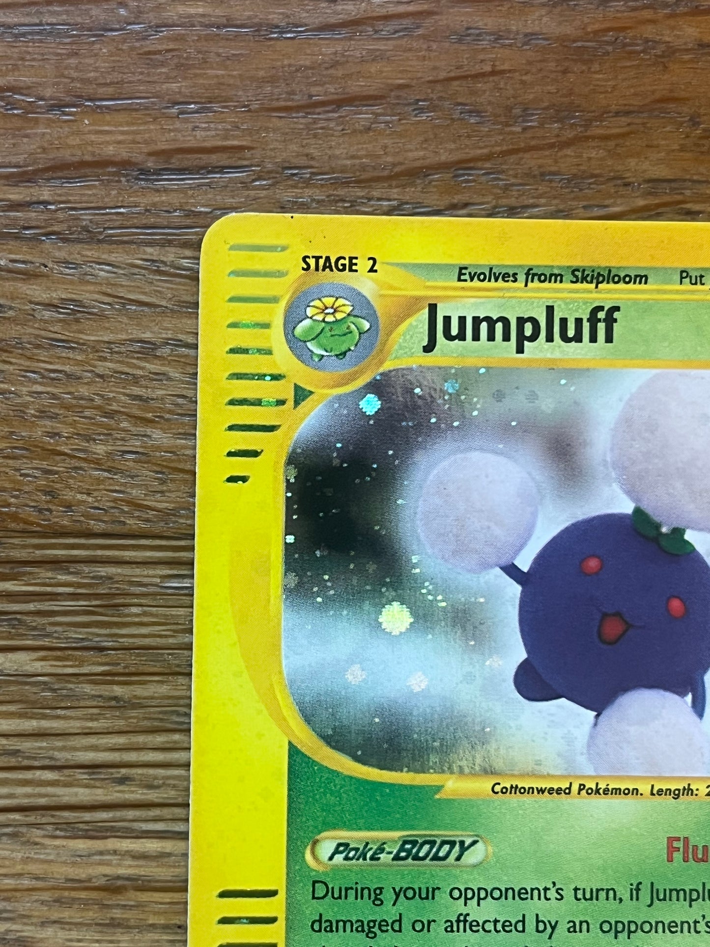 Jumpluff Holo H13/H32 Aquapolis NM Single Pokemon Card