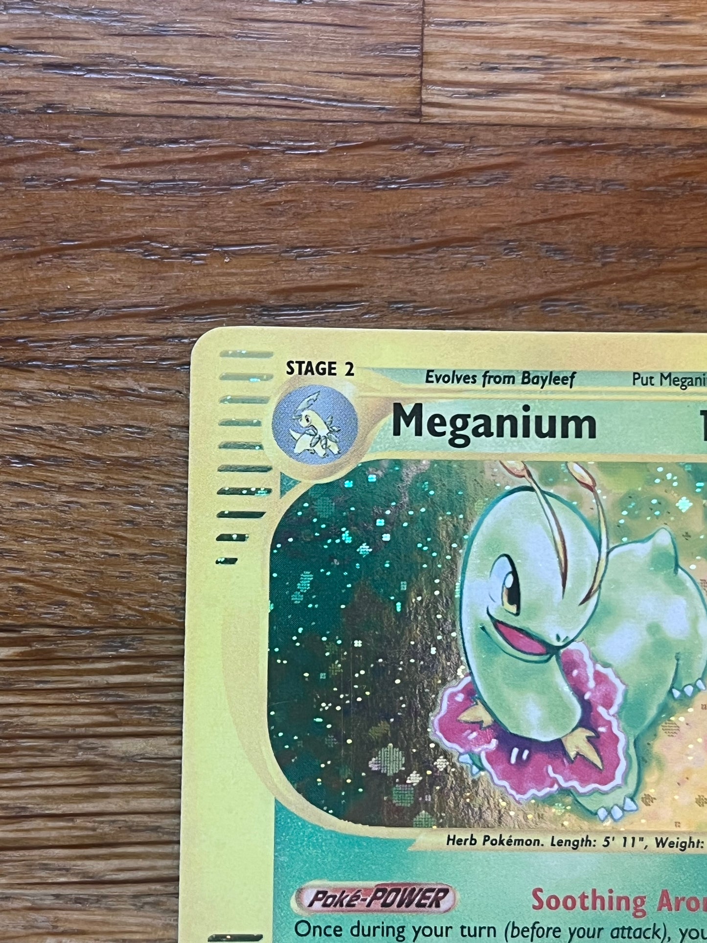 Meganium Holo 18/165 Expedition NM Single Pokemon Card