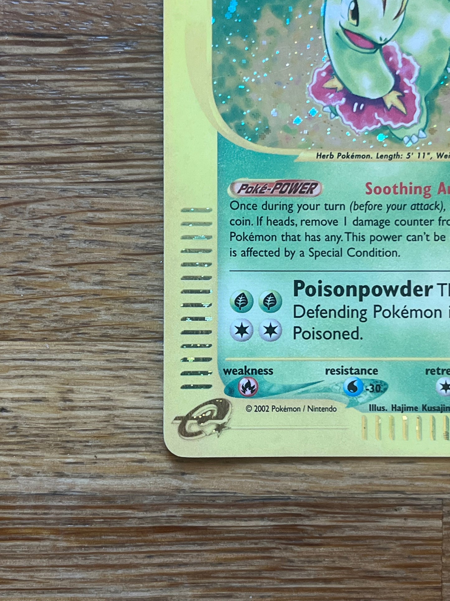 Meganium Holo 18/165 Expedition NM Single Pokemon Card