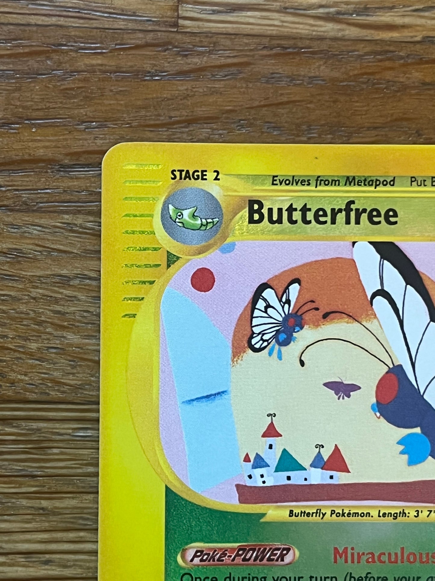 Butterfree Reverse Holo 5/165 Expedition NM Single Pokemon Card