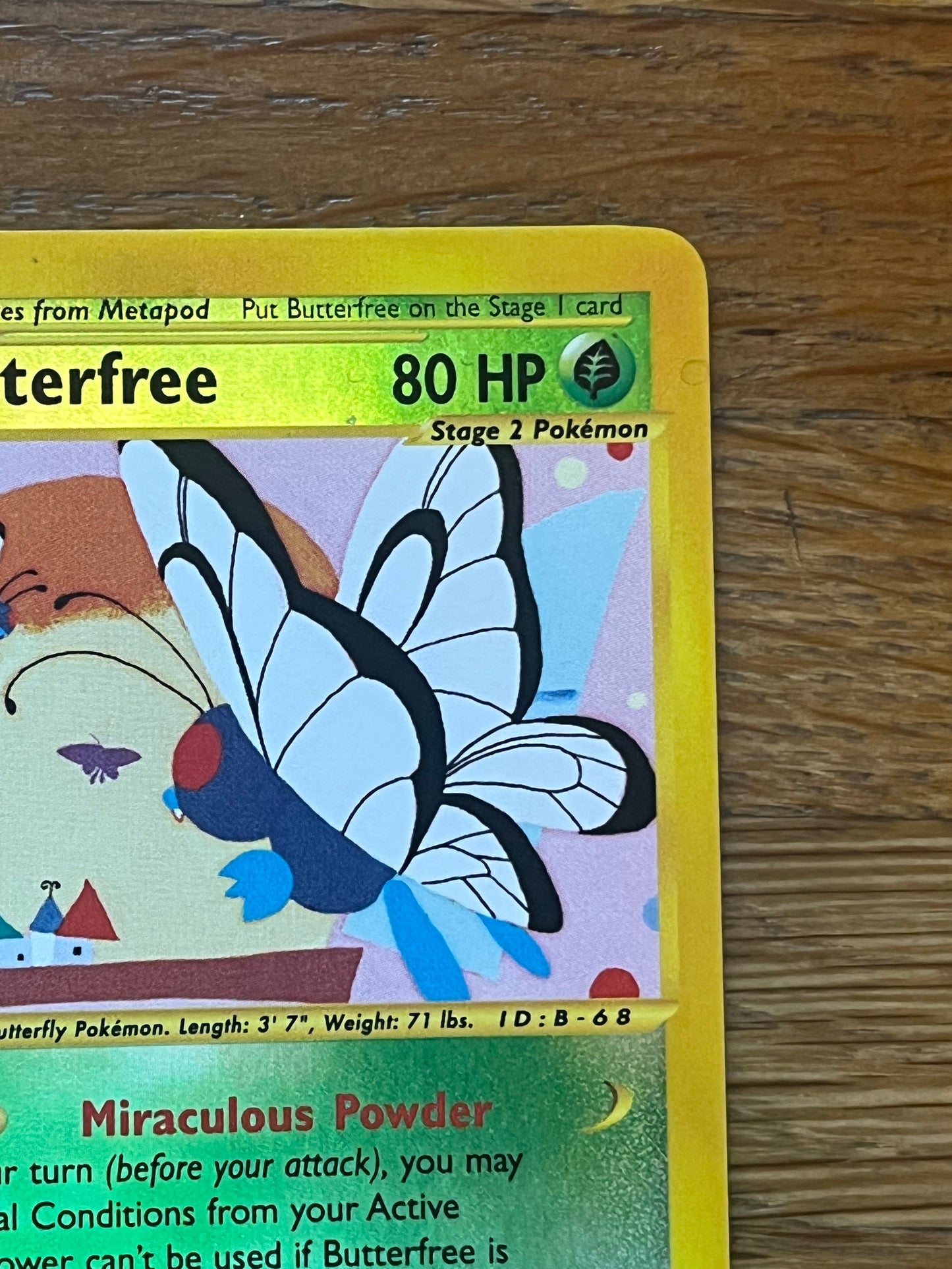 Butterfree Reverse Holo 5/165 Expedition NM Single Pokemon Card