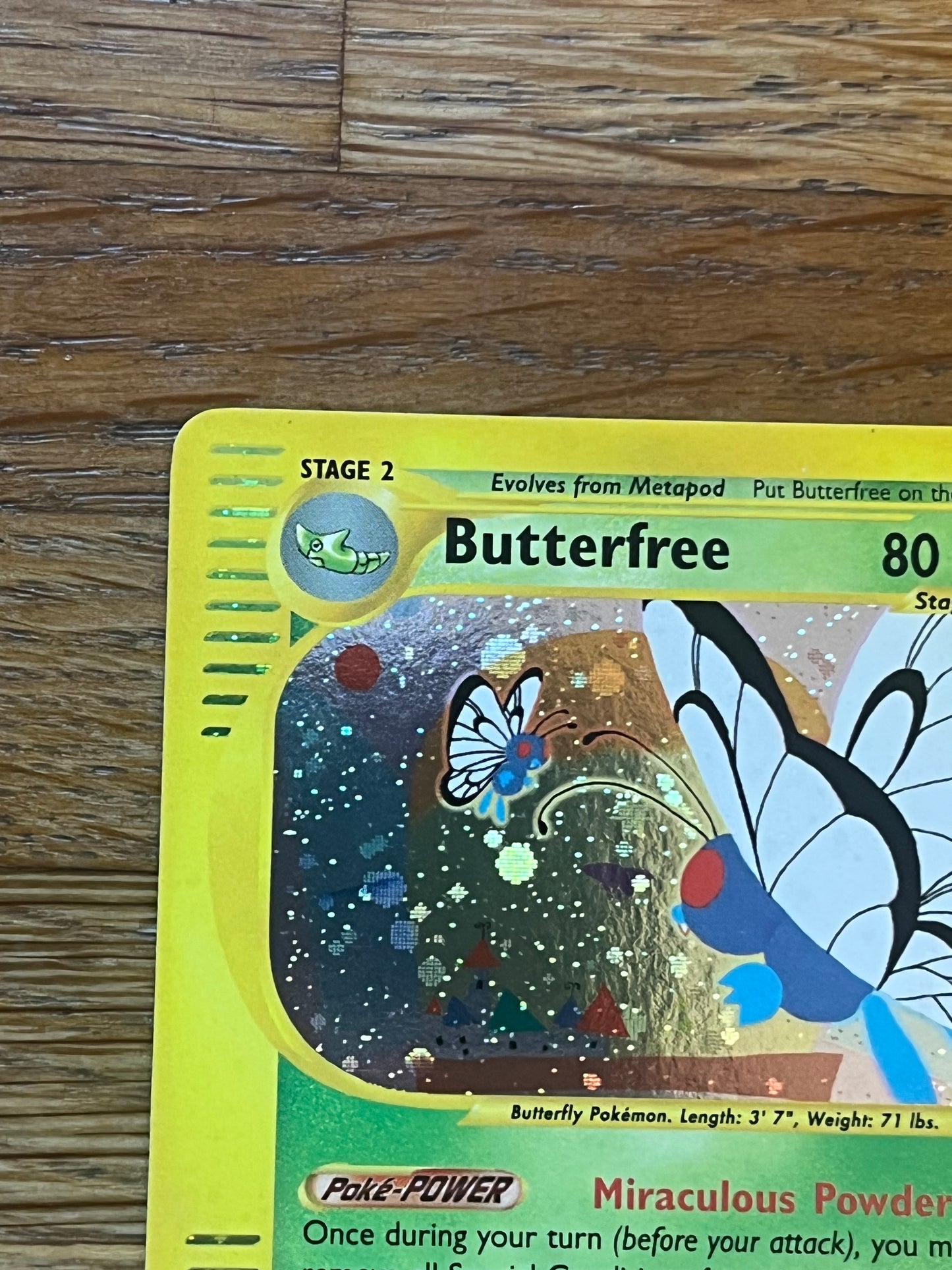 Butterfree Holo 5/165 Expedition NM Single Pokemon Card