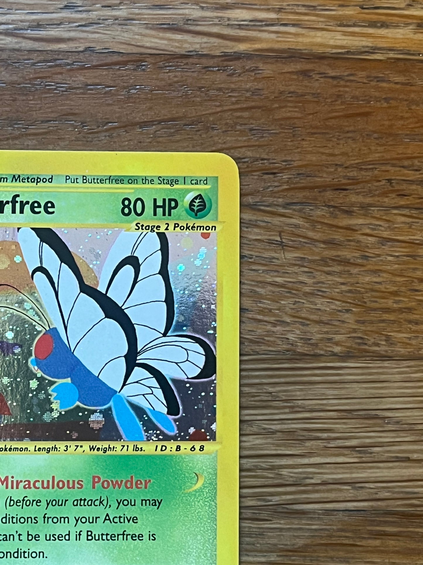 Butterfree Holo 5/165 Expedition NM Single Pokemon Card