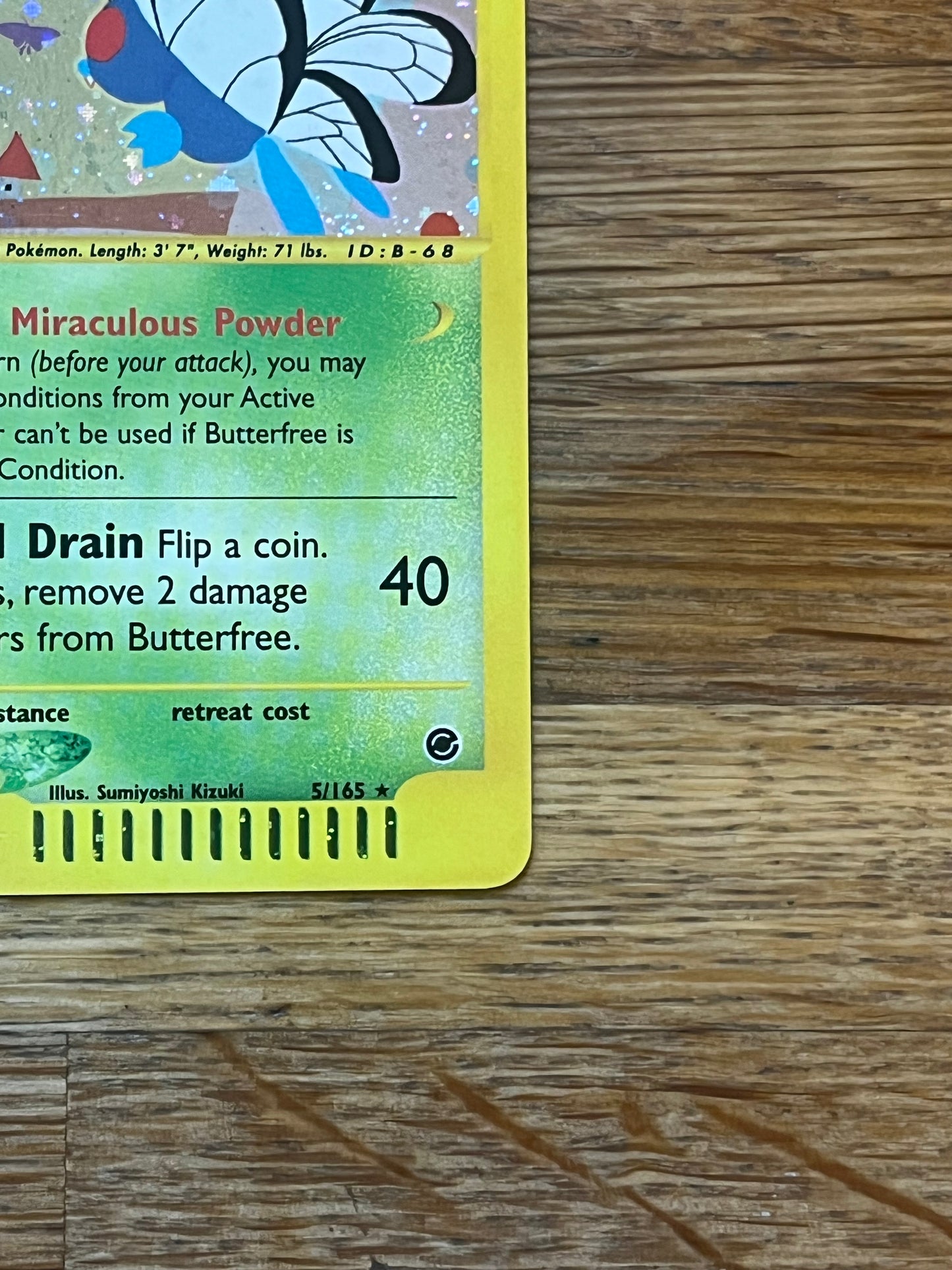Butterfree Holo 5/165 Expedition NM Single Pokemon Card